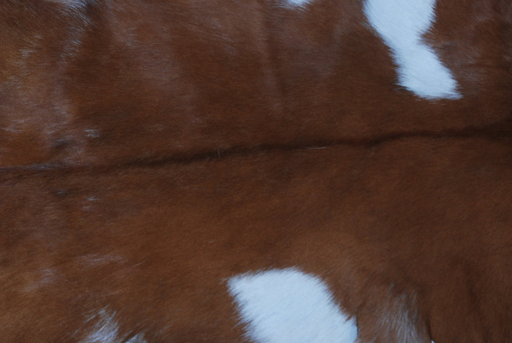 Luxury Brown & White Goat Hide Rug | Premium Hair-On Skin Rug for Home Decor - Celestial Leather Limited