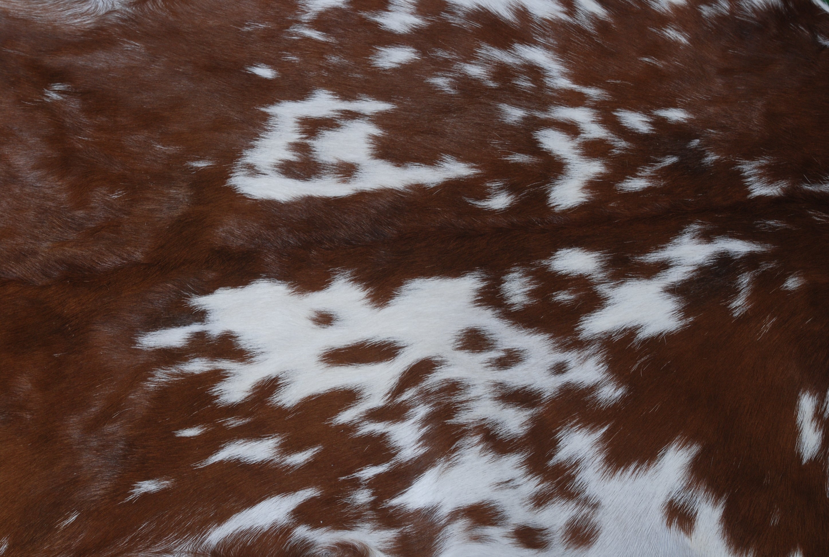 Goat Skin Rug: Dark Brown and white genuine Goat hide rug