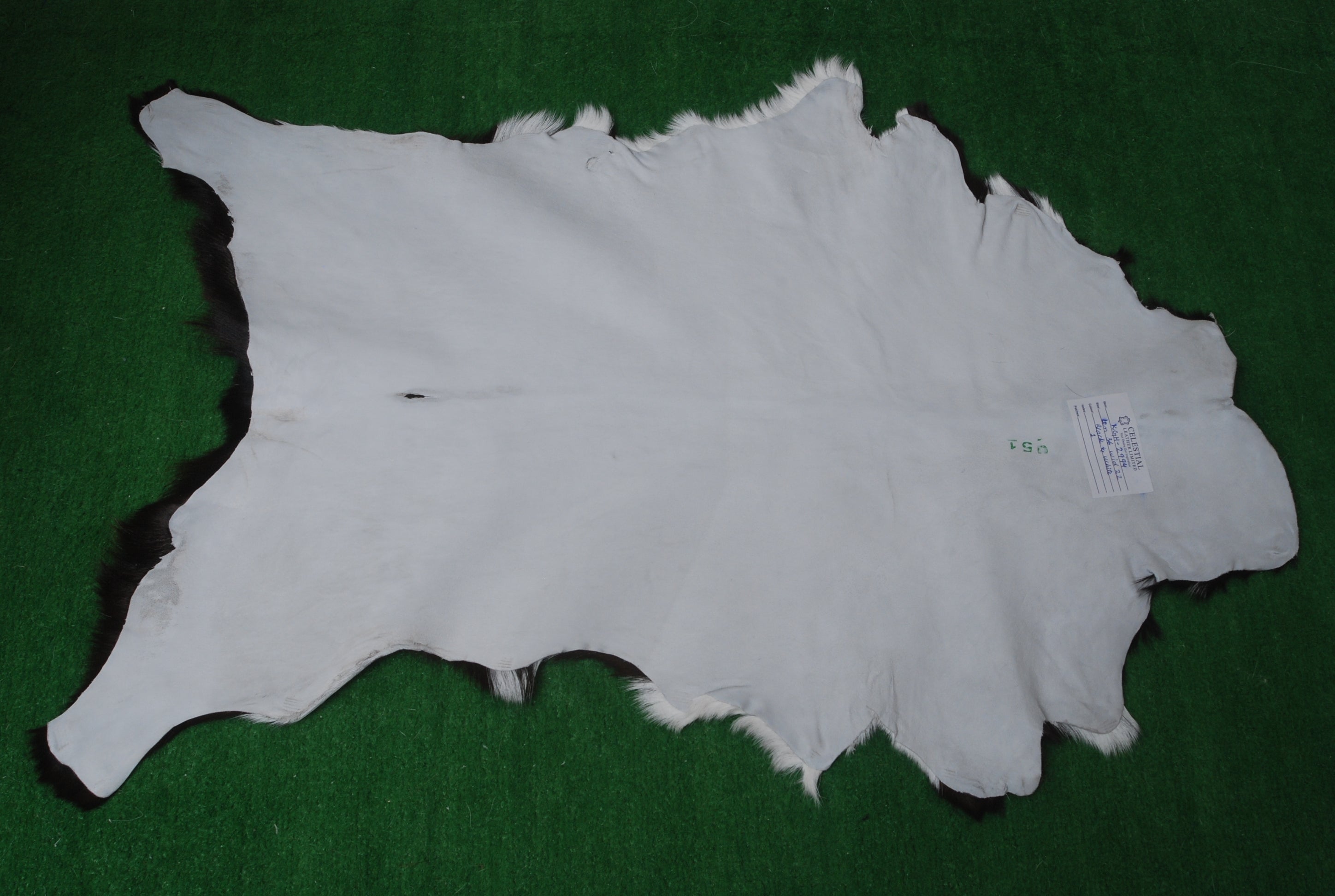 Striped Goat Skin Throw Rug - Genuine Black & White Animal Skin Goathide - Natural - Non-slippery Back - Hypoallergenic - Sustainable - Celestial Leather Limited