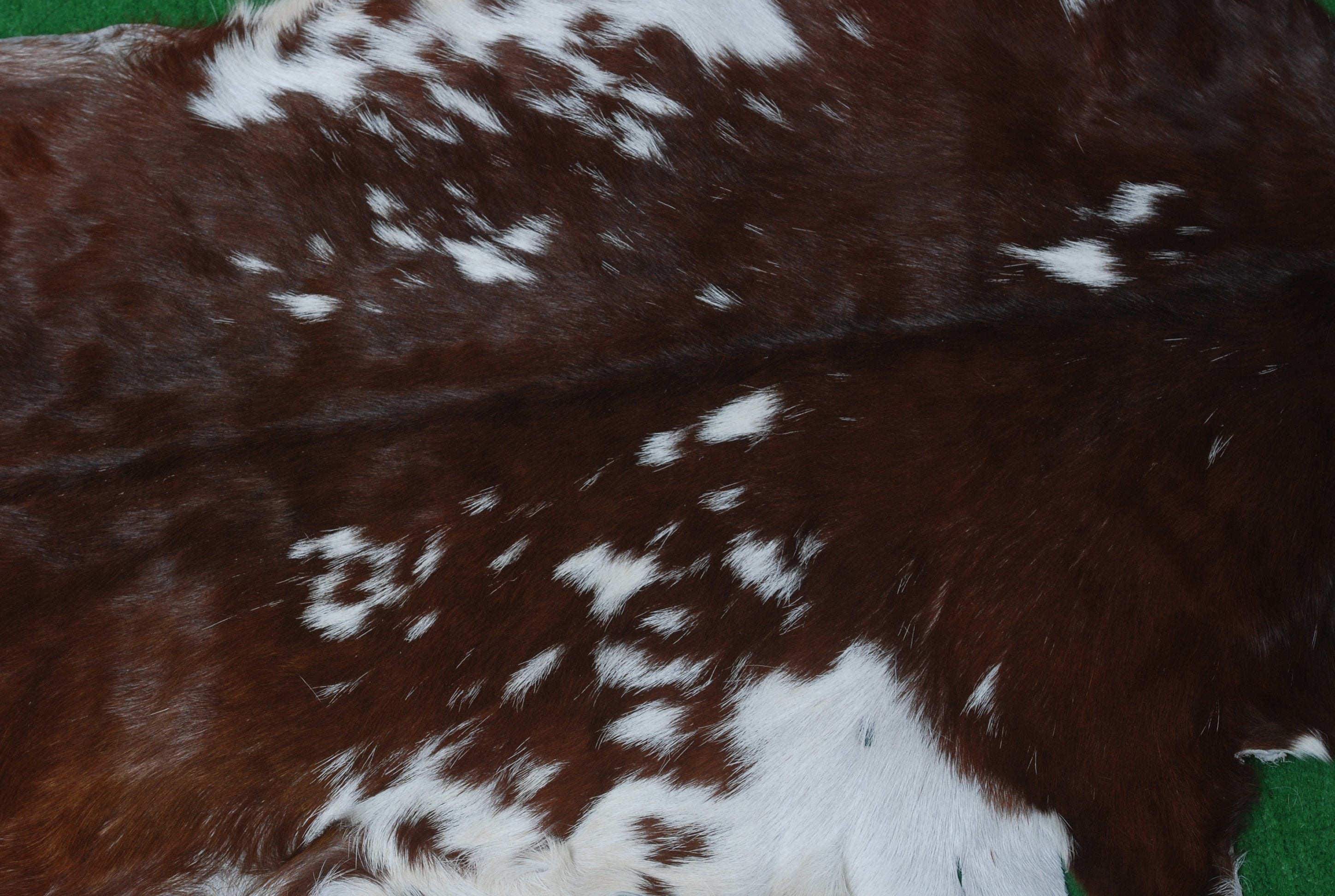 Premium Dark Brown Goat Hide Rug - Soft and Durable for Sophisticated Interiors