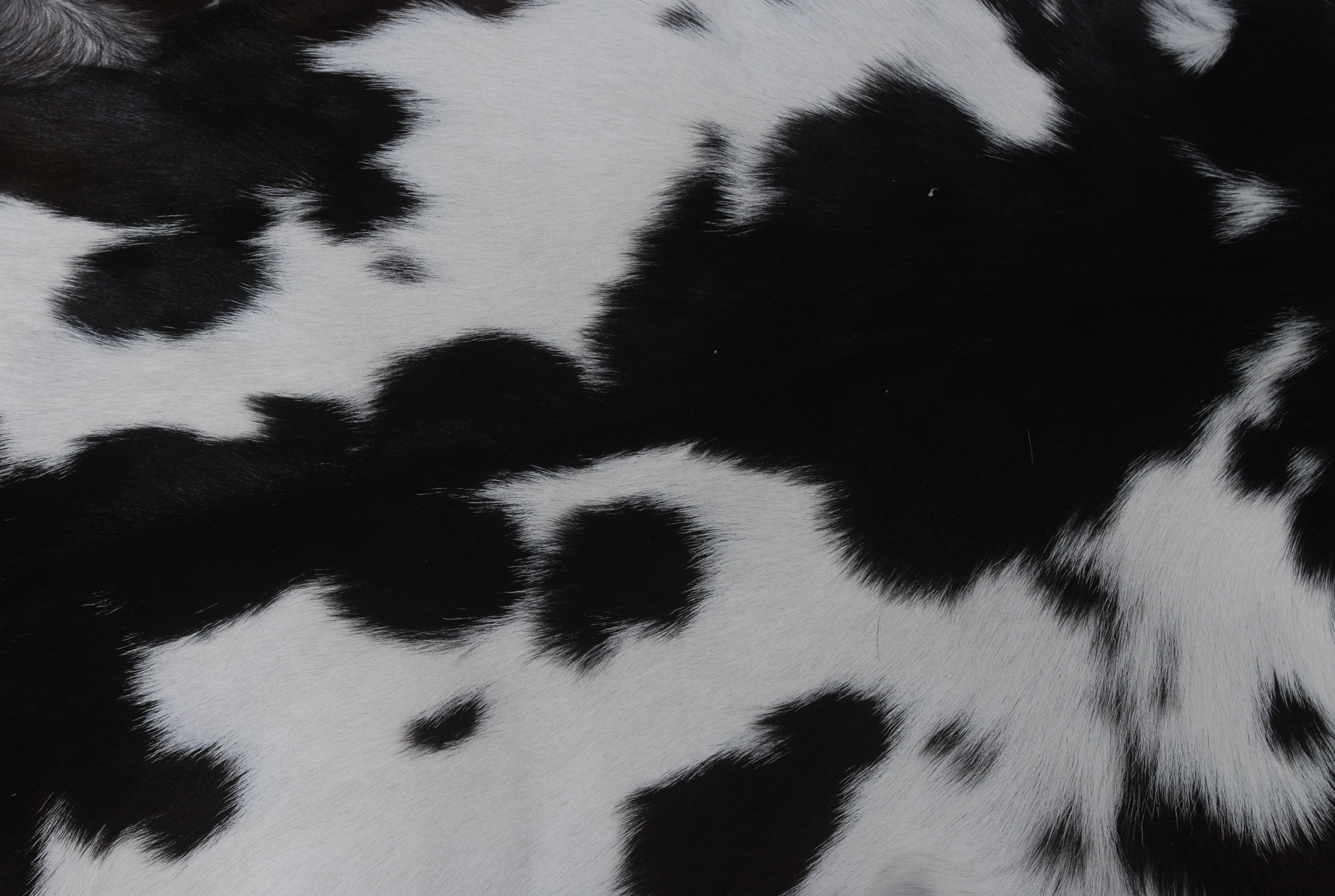 Elegant Black and White Goat Hide Rug - Perfect Accent for Any Room