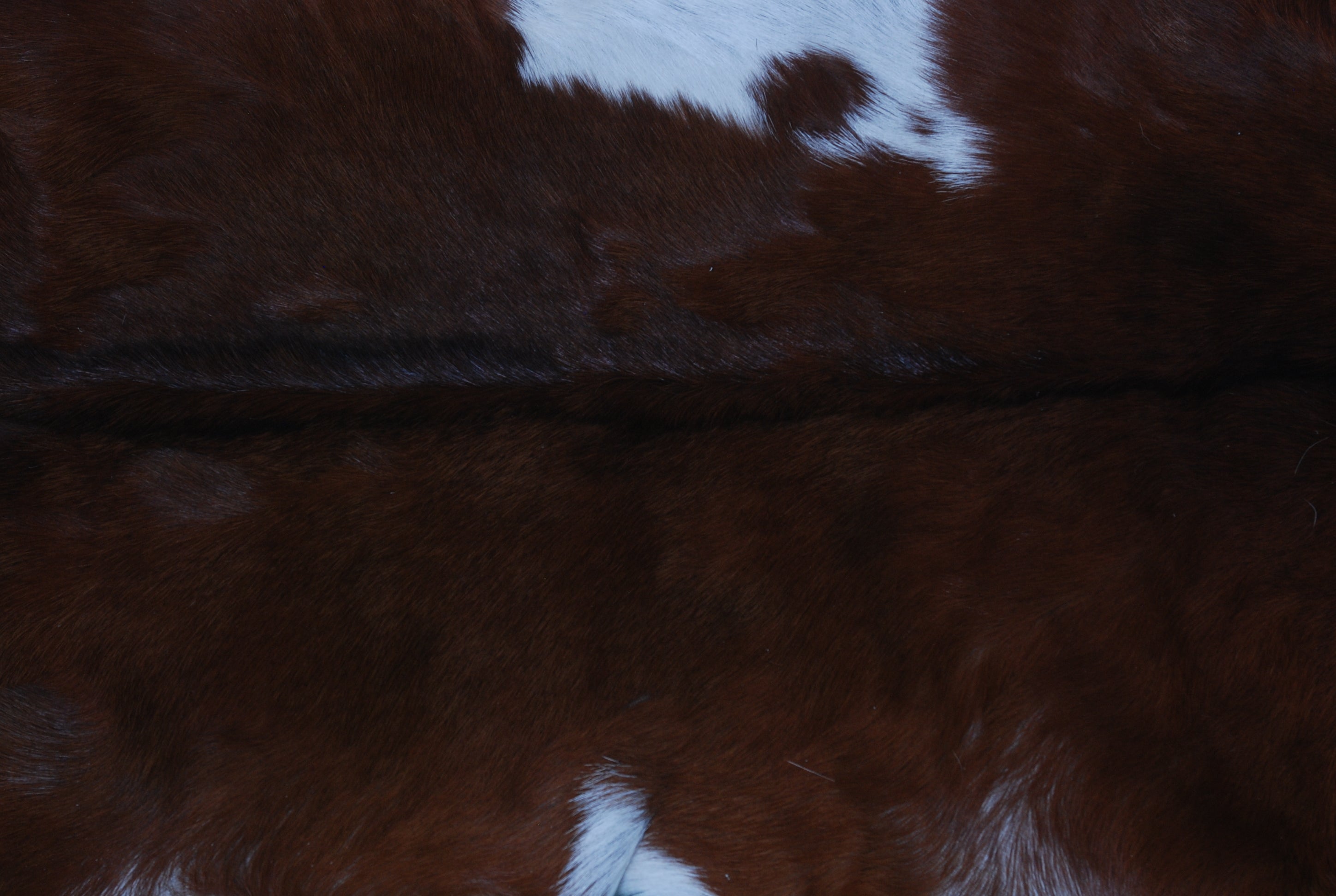 Premium Dark Brown Goat Skin Rug - Rustic Charm for Modern and Classic Interiors