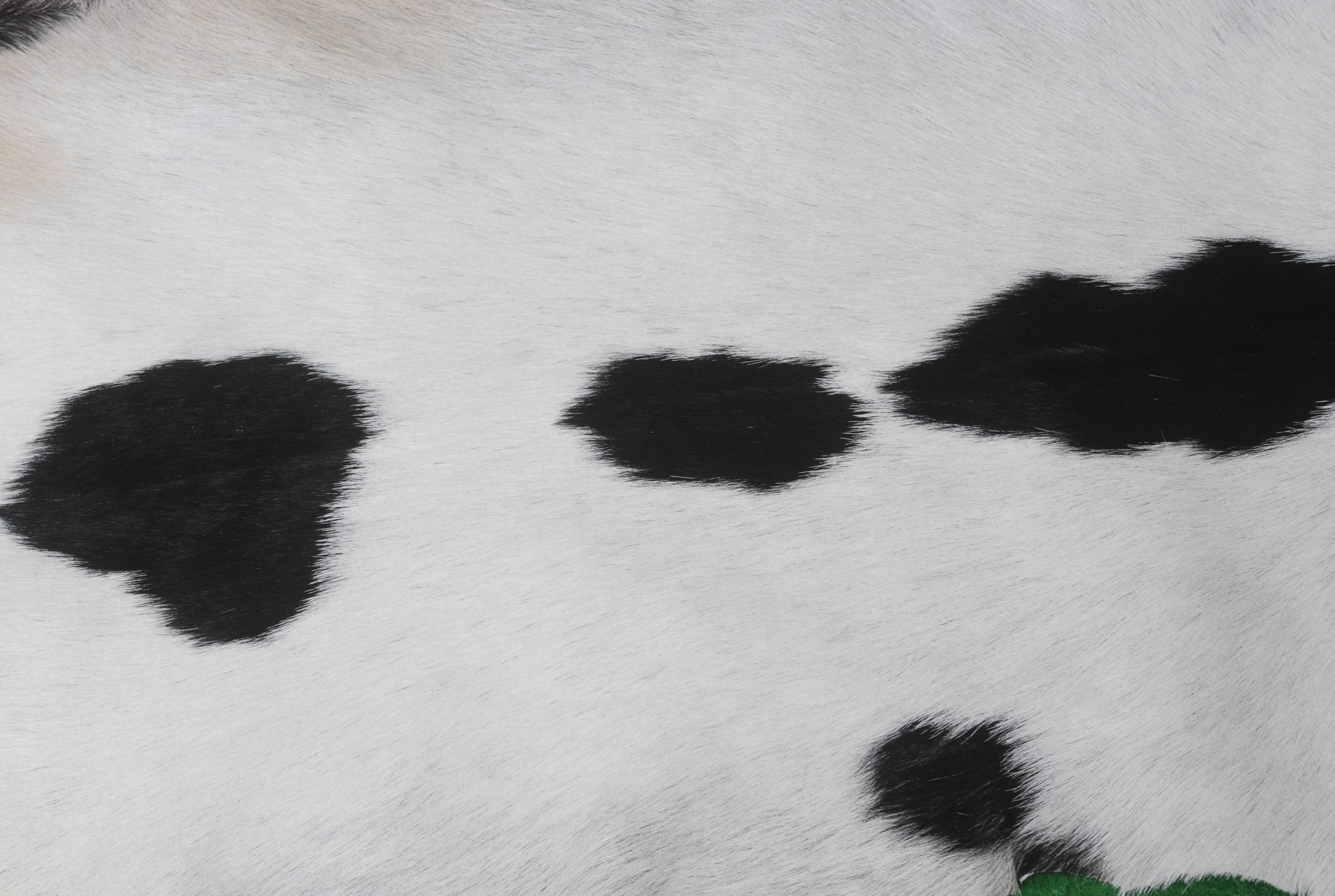 Luxury Black & White Genuine Goat Hide Rug - Premium Hair-On Goat Skin, Hypoallergenic, Non-Shedding, Eco-Friendly Décor for Modern Spaces - Celestial Leather Limited