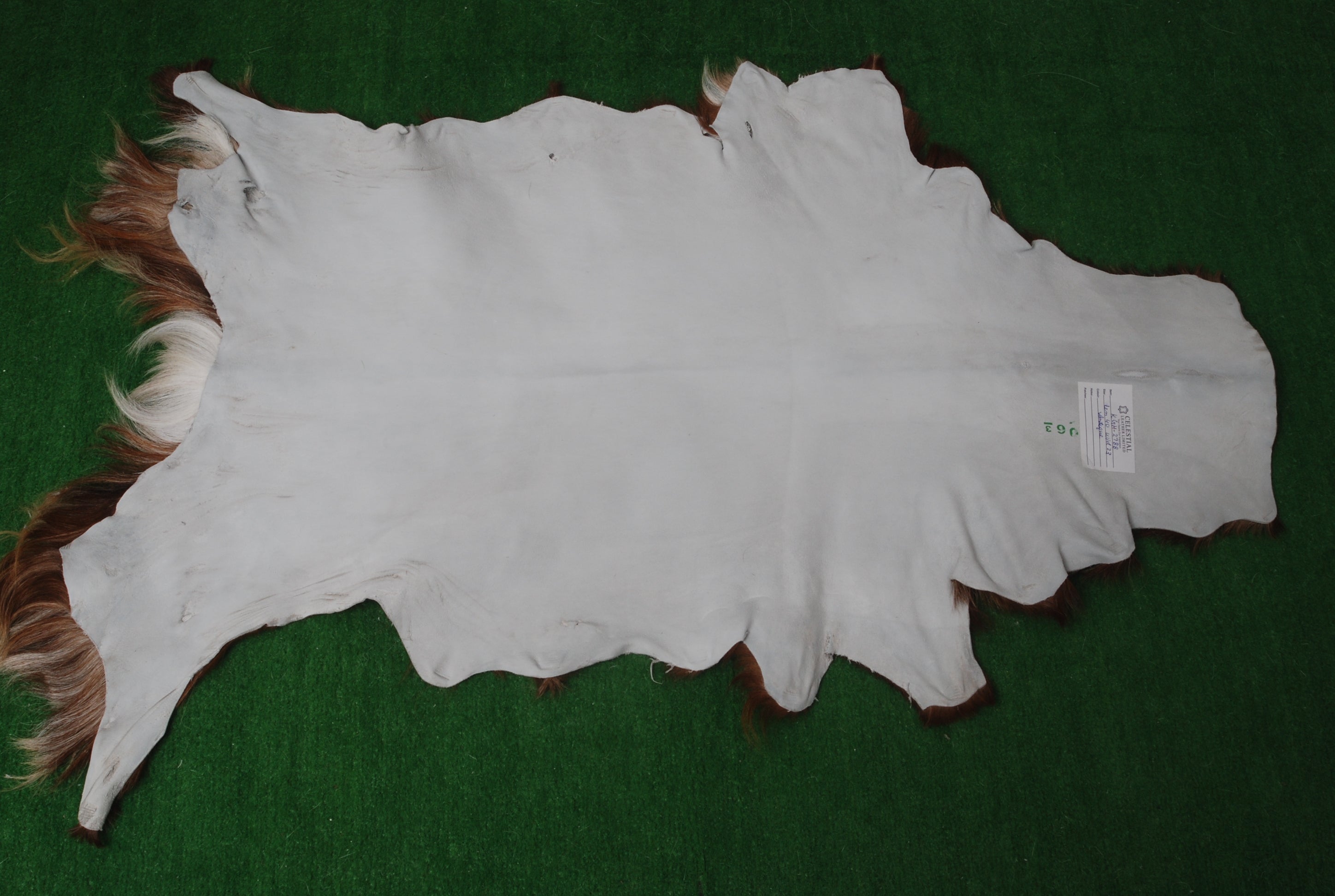 Goat Skin Rug: Tri-Color genuine Goat hide rug