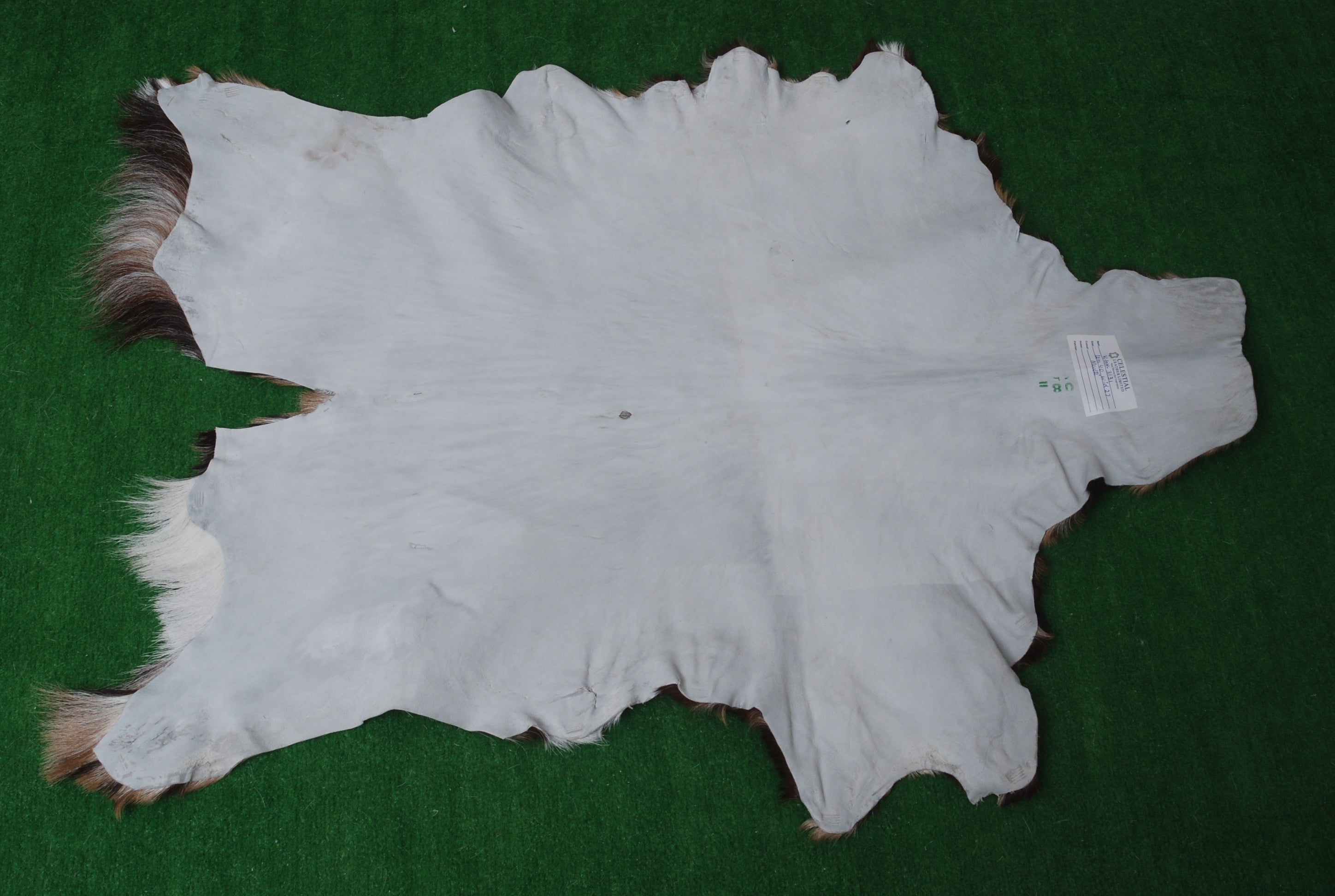 Luxurious Multicolour Goat Skin Rug - Handmade, Soft & Hypoallergenic Floor Rug - Unique Eco-Friendly Home Decor