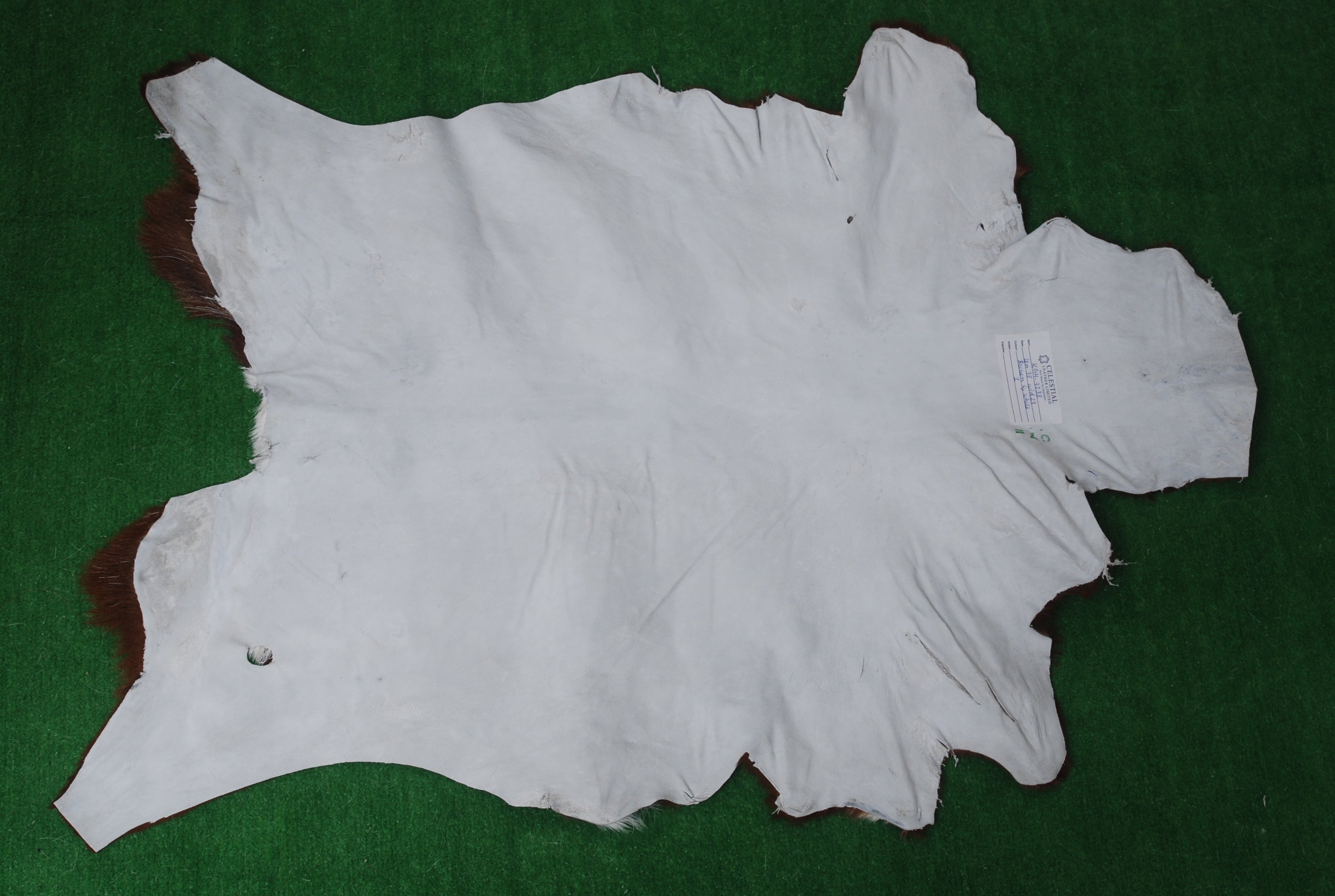 Luxurious Brown and White Genuine Goat Hide Rug - Handcrafted Premium Hair-On Goat Skin Rug with Unique Patterns and Colors - Celestial Leather Limited