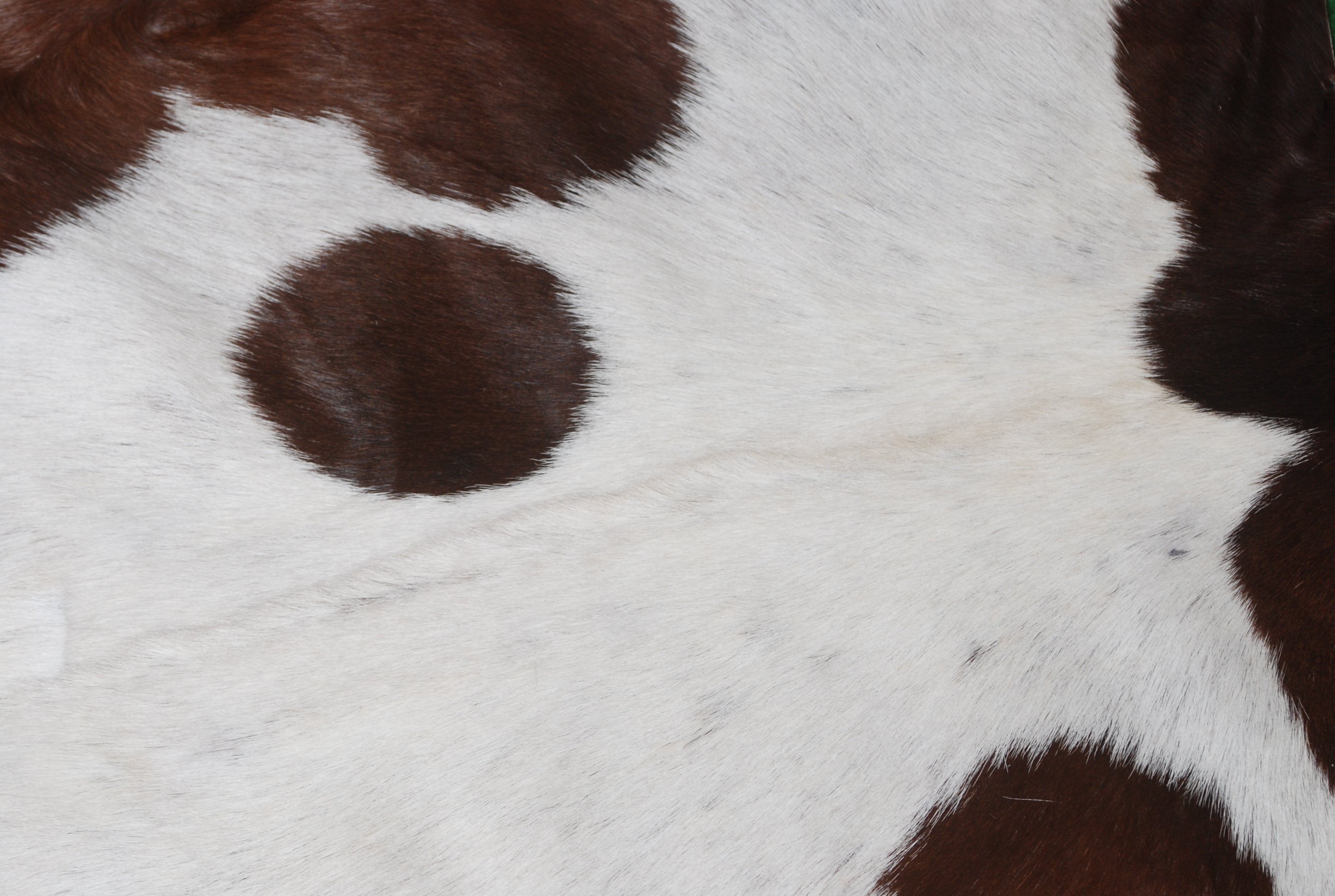 Luxurious Brown and White Genuine Goat Hide Rug - Handcrafted Premium Hair-On Goat Skin Rug with Unique Patterns and Colors - Celestial Leather Limited