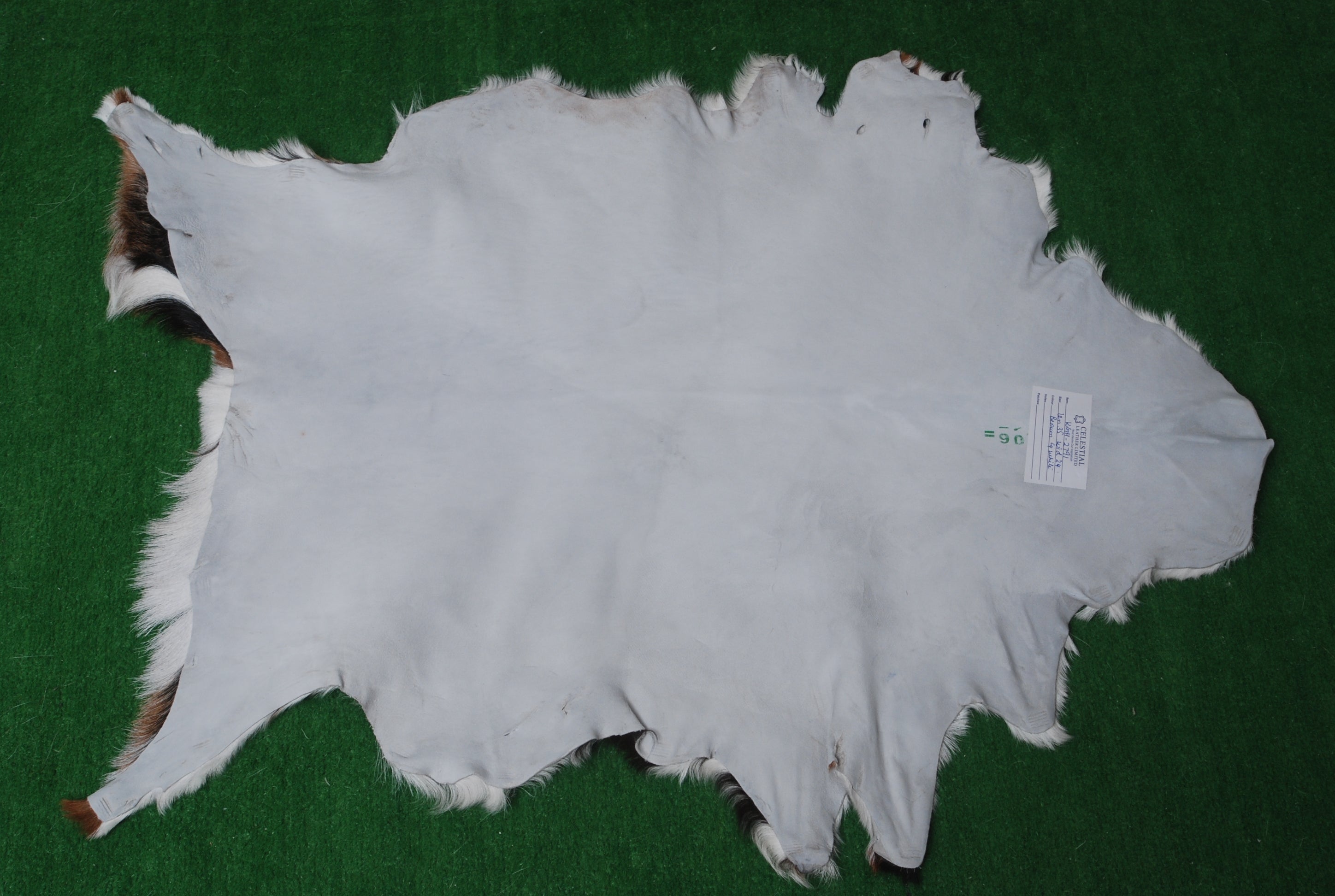 Luxurious Brown and White Goat Hide Rug - Premium Hair-On Goat Skin Rug - Natural, Sustainable, and Handcrafted Beauty