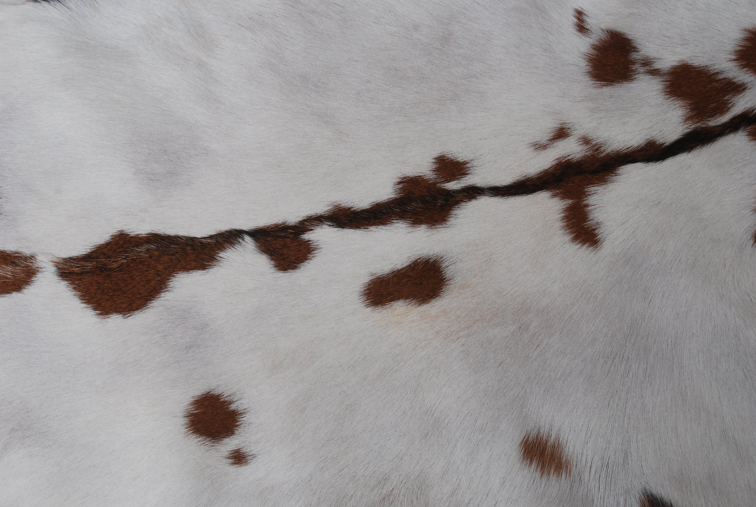Luxurious Brown and White Goat Hide Rug - Premium Hair-On Goat Skin Rug - Natural, Sustainable, and Handcrafted Beauty