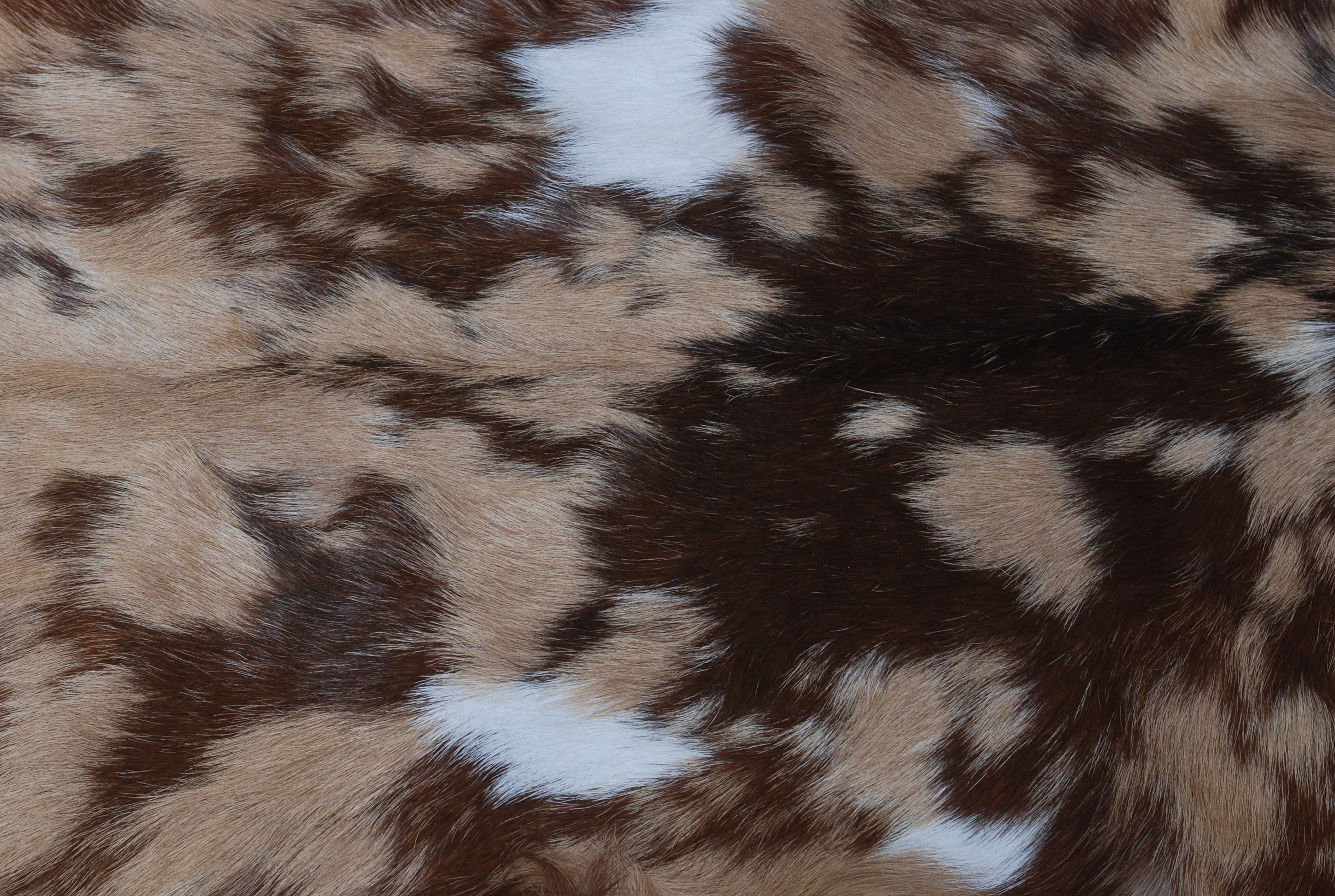 Goat Skin Rug: Tri-Color genuine Goat hide rug