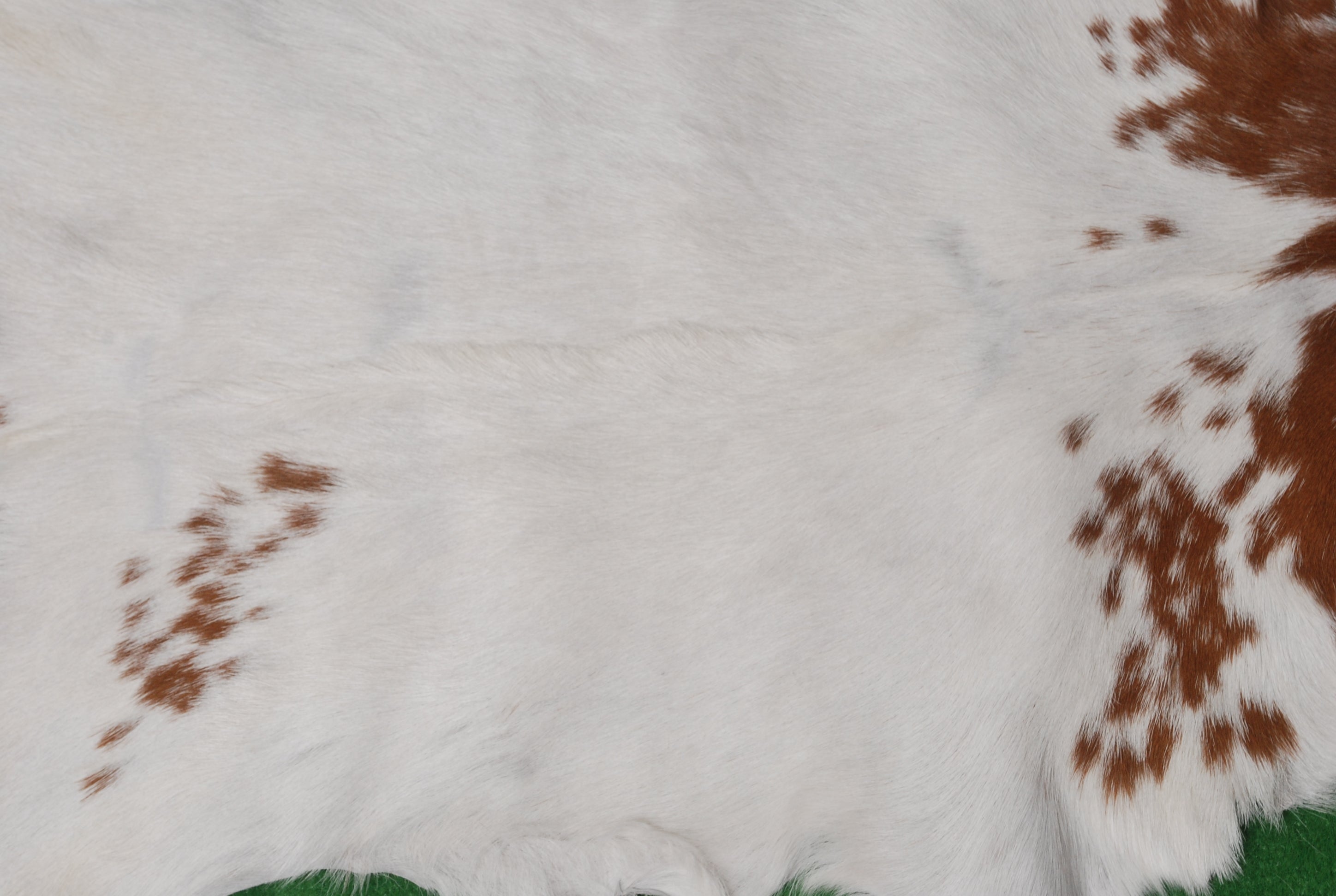 Handcrafted Brown and White Goat Skin Rug - Soft, Durable, and Elegant Décor