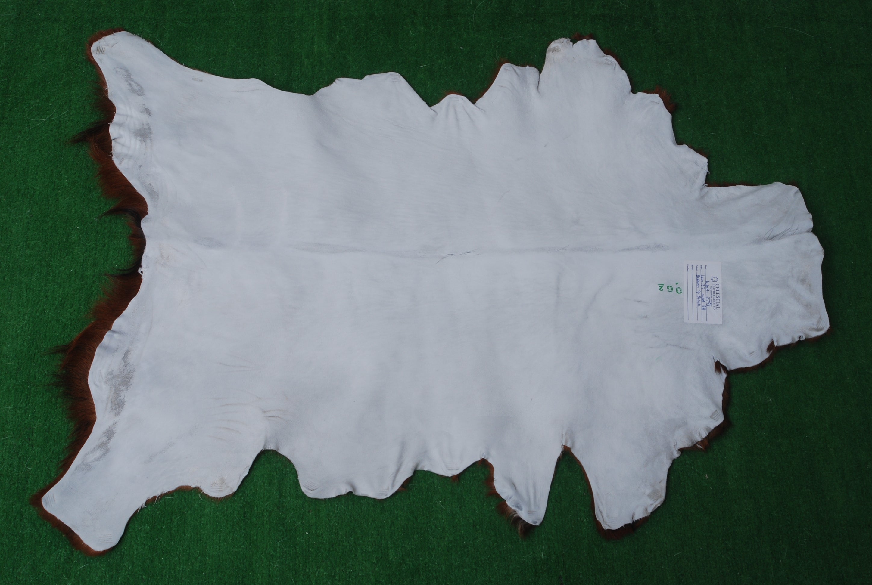 Luxurious Brown & White Goat Skin Rug - Soft, Durable, and Eco-Friendly - Handmade Pure Goat Skin Floor Rug - Non-Slip Suede Back