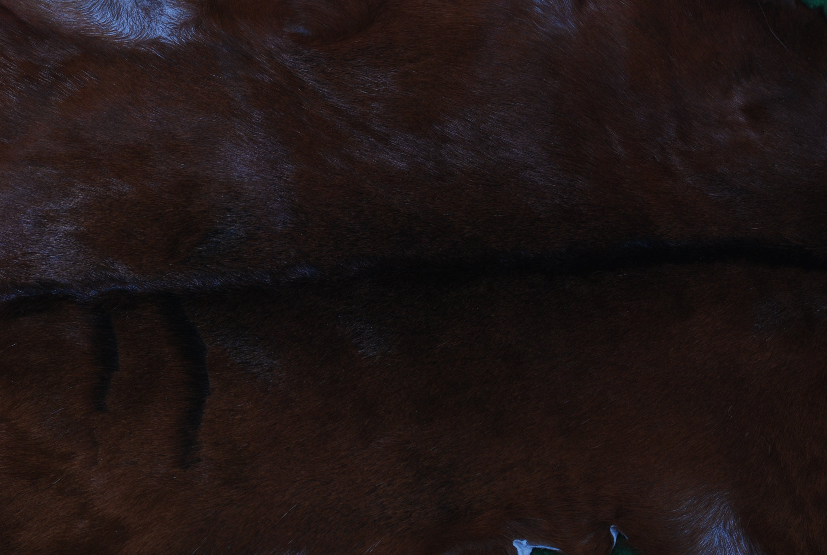 Luxurious Brown & White Goat Skin Rug - Soft, Durable, and Eco-Friendly - Handmade Pure Goat Skin Floor Rug - Non-Slip Suede Back