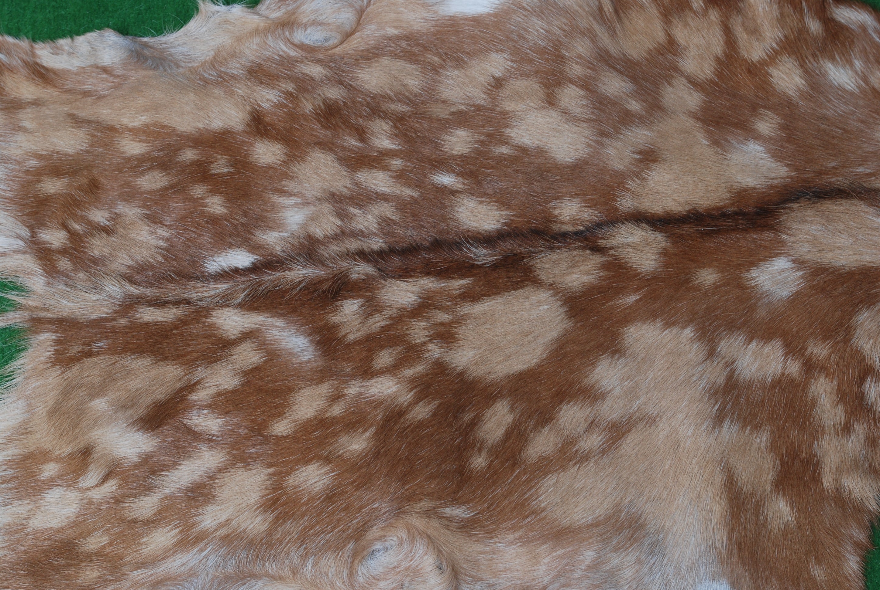 Premium Brown and White Goat Skin Rug - Genuine Hair-On Leather for Rustic Décor