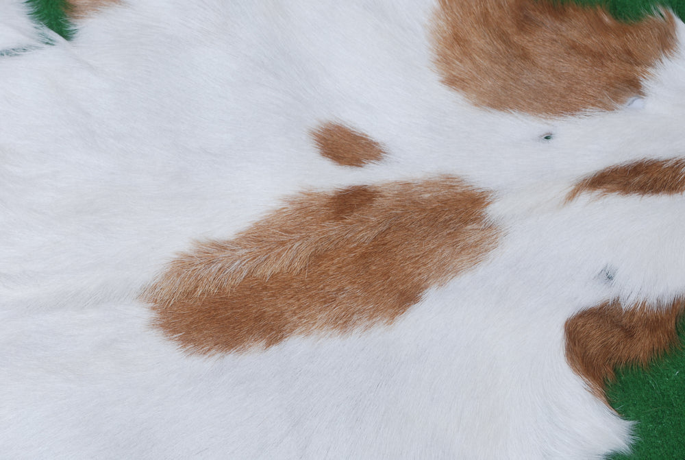 Luxurious Handpicked Brown & White Goat Skin Rug - Hypoallergenic - Non-Shedding - Sustainable - Eco-Friendly - Premium Hair-On Goatskin Rug - Celestial Leather Limited