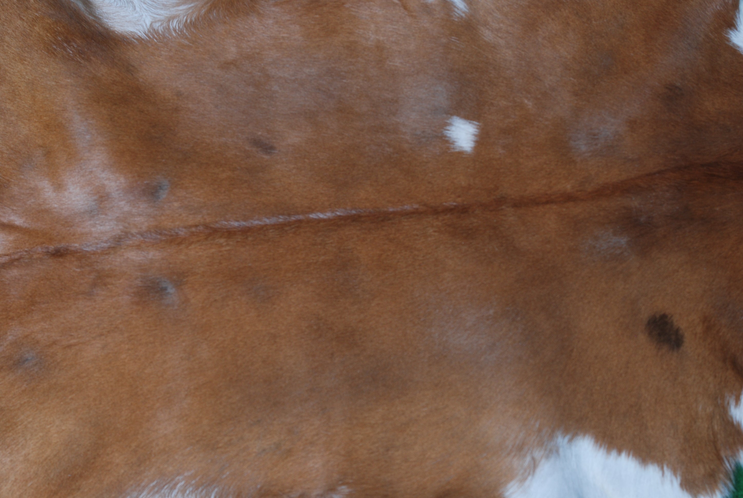 Natural Dark Brown Goat Hide Rug - Perfect for Modern and Rustic Spaces )