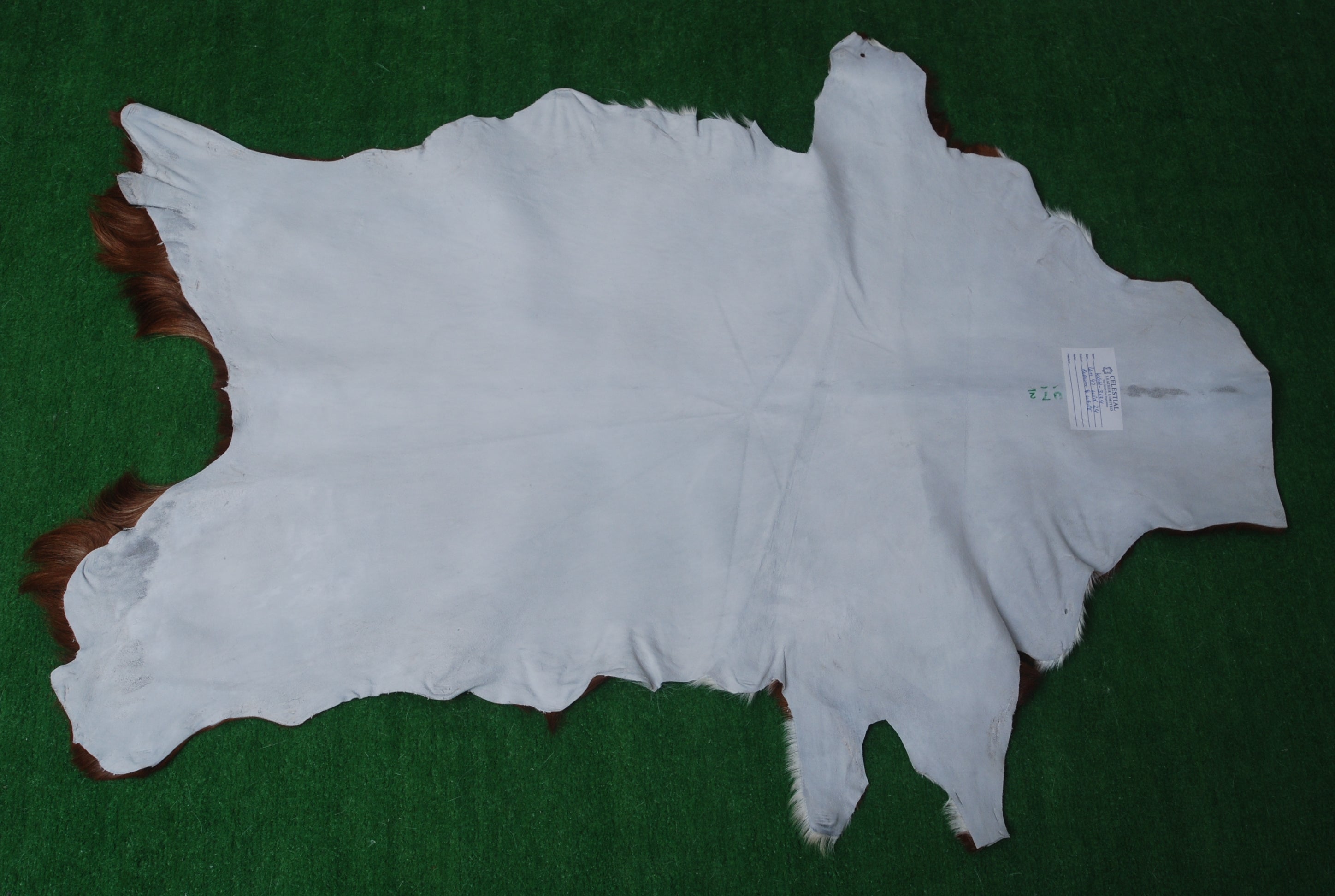 Elegant Dark Brown Goat Skin Rug - Natural Hair-On Accent for Floors or Walls