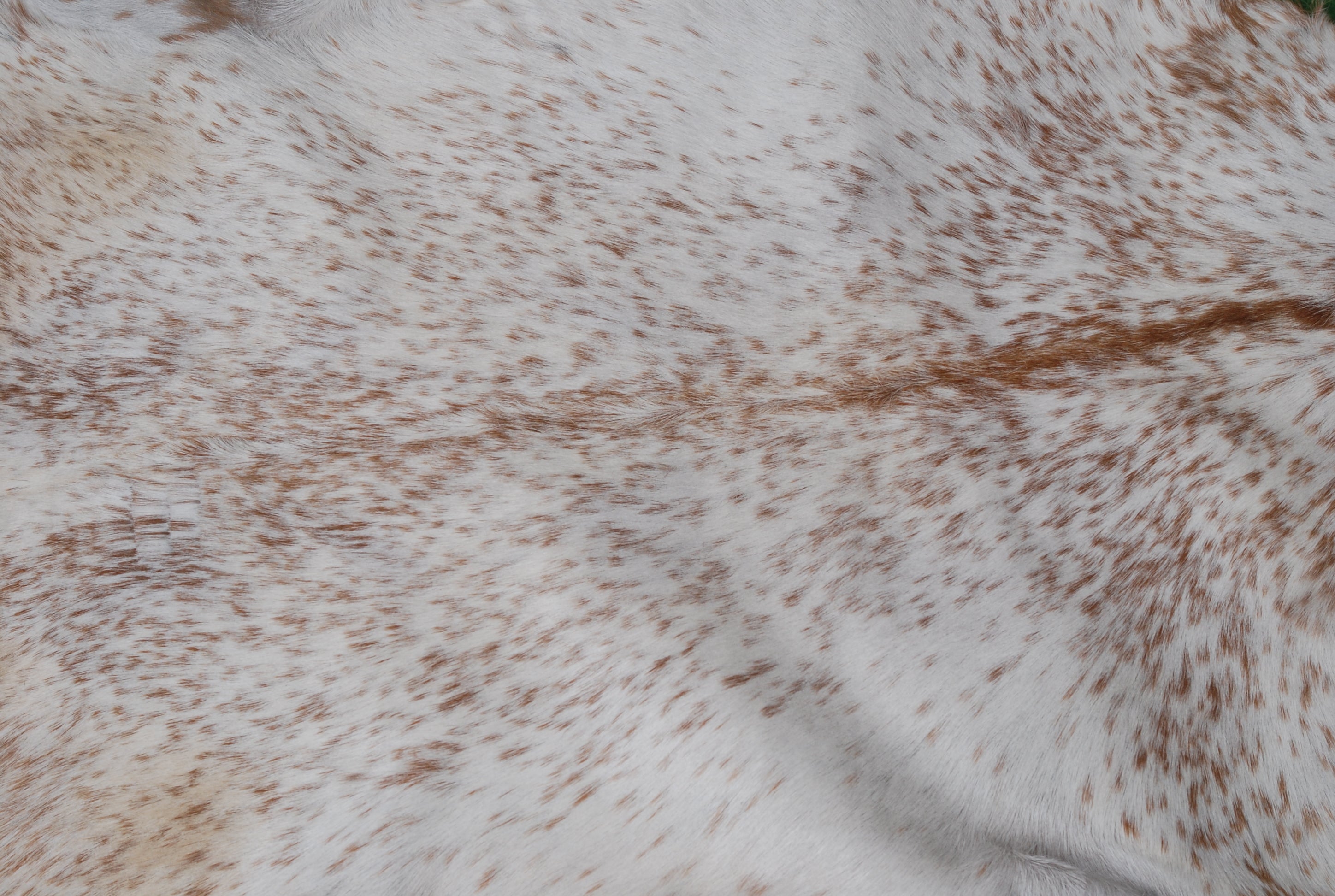 Rustic Brown and White Goat Skin Rug - Unique Pattern for Modern and Classic Décor