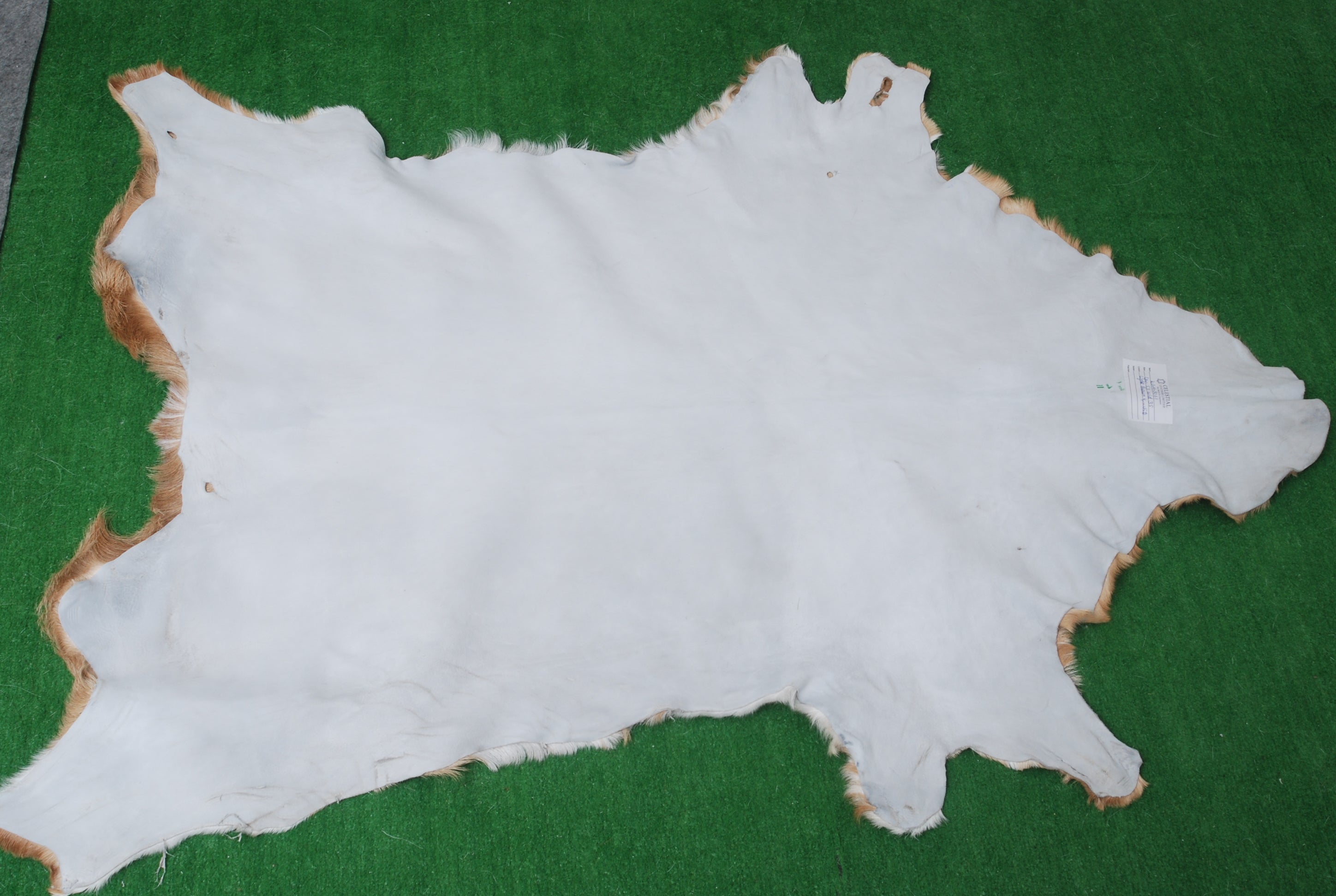 Natural Brown and White Goat Hide Rug - Luxurious Accent for Modern Homes