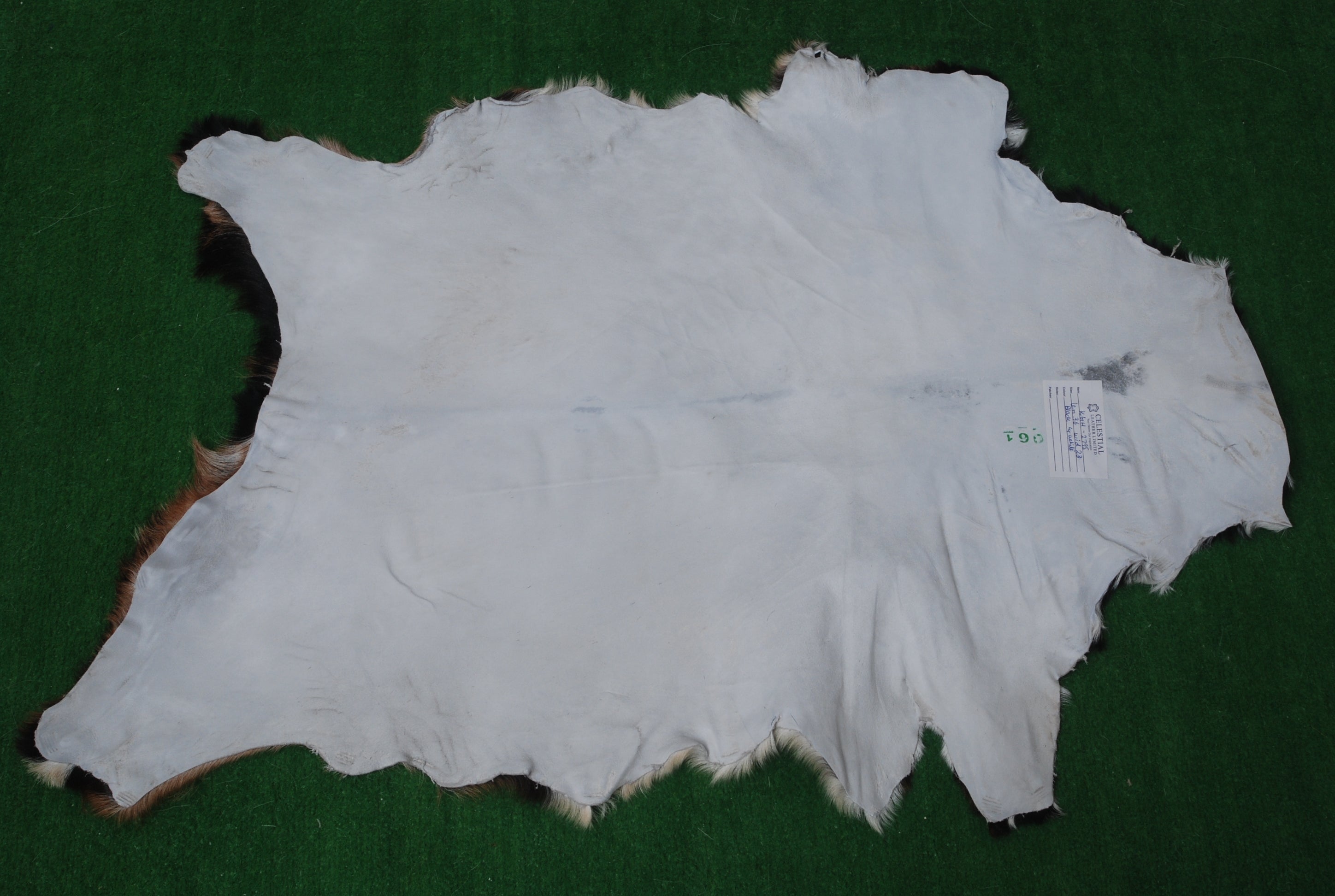 Goat Skin Rug: Tri-Color genuine Goat hide rug