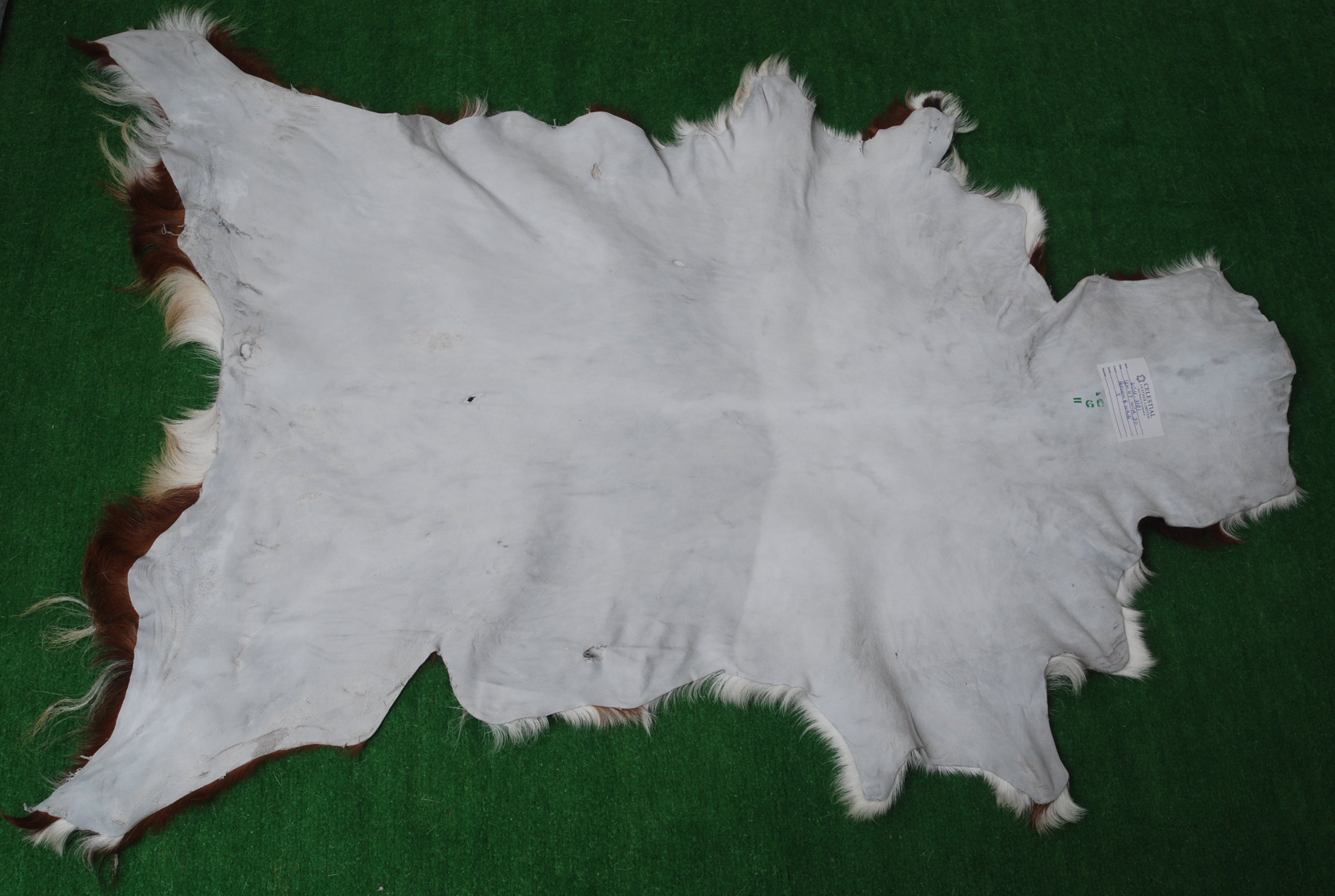 Natural Hair-On Dark Brown Goat Skin Rug - Elegant and Durable for Any Room