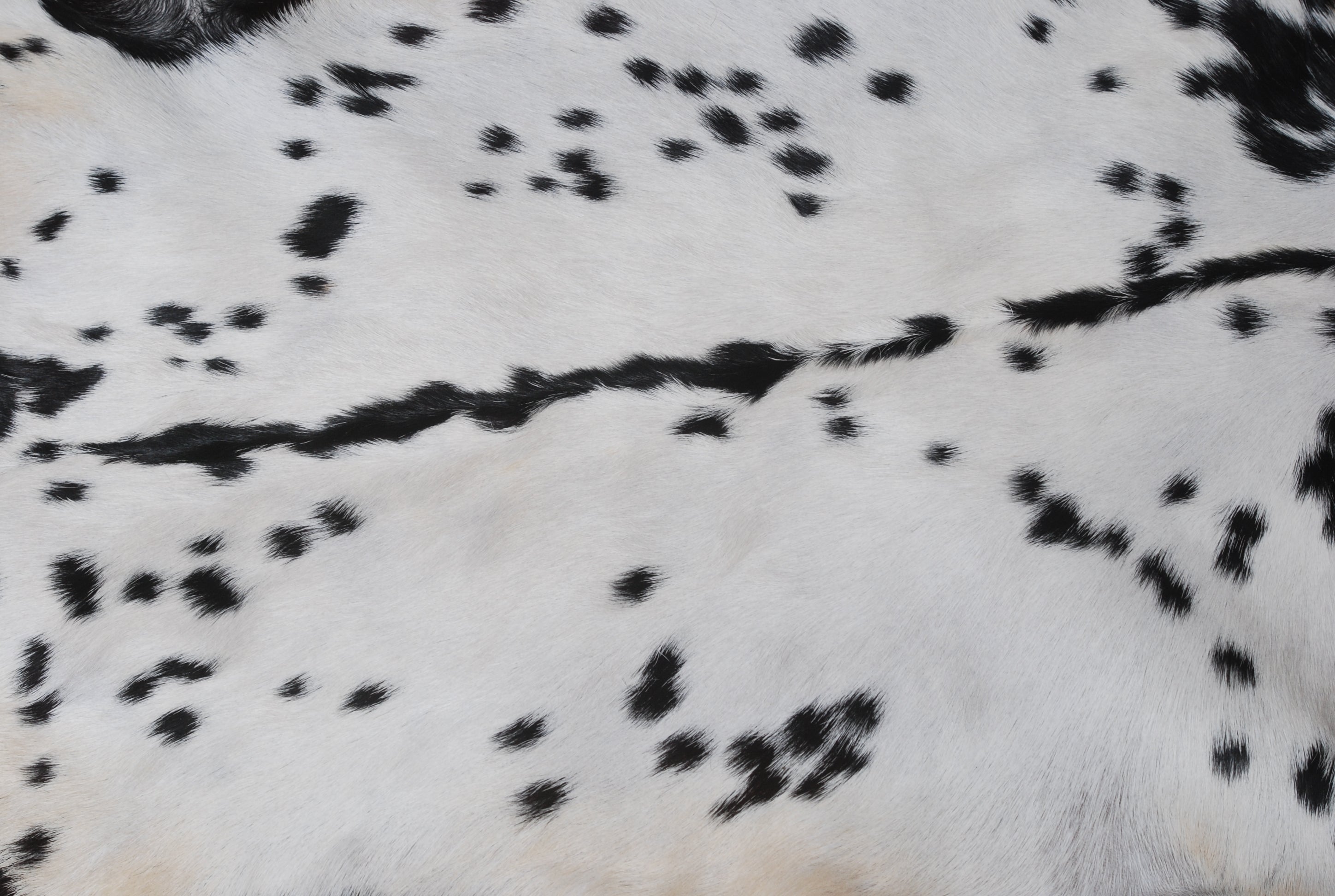 Goat Skin Rug: Versatile Style, Ideal for Modern Interiors