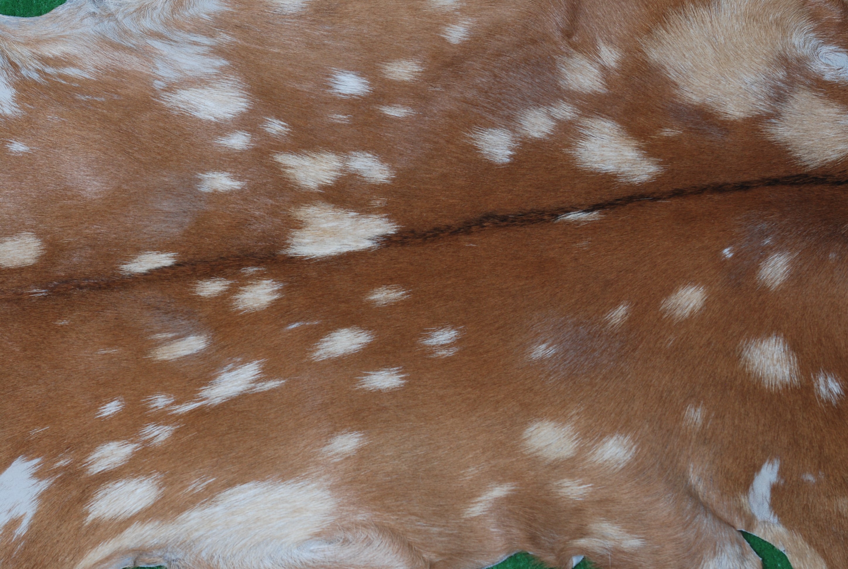 Luxury Handmade Brown & White Goat Skin Rug - Soft, Durable & Eco-Friendly Artisan Floor Rug with Unique Colour Variations