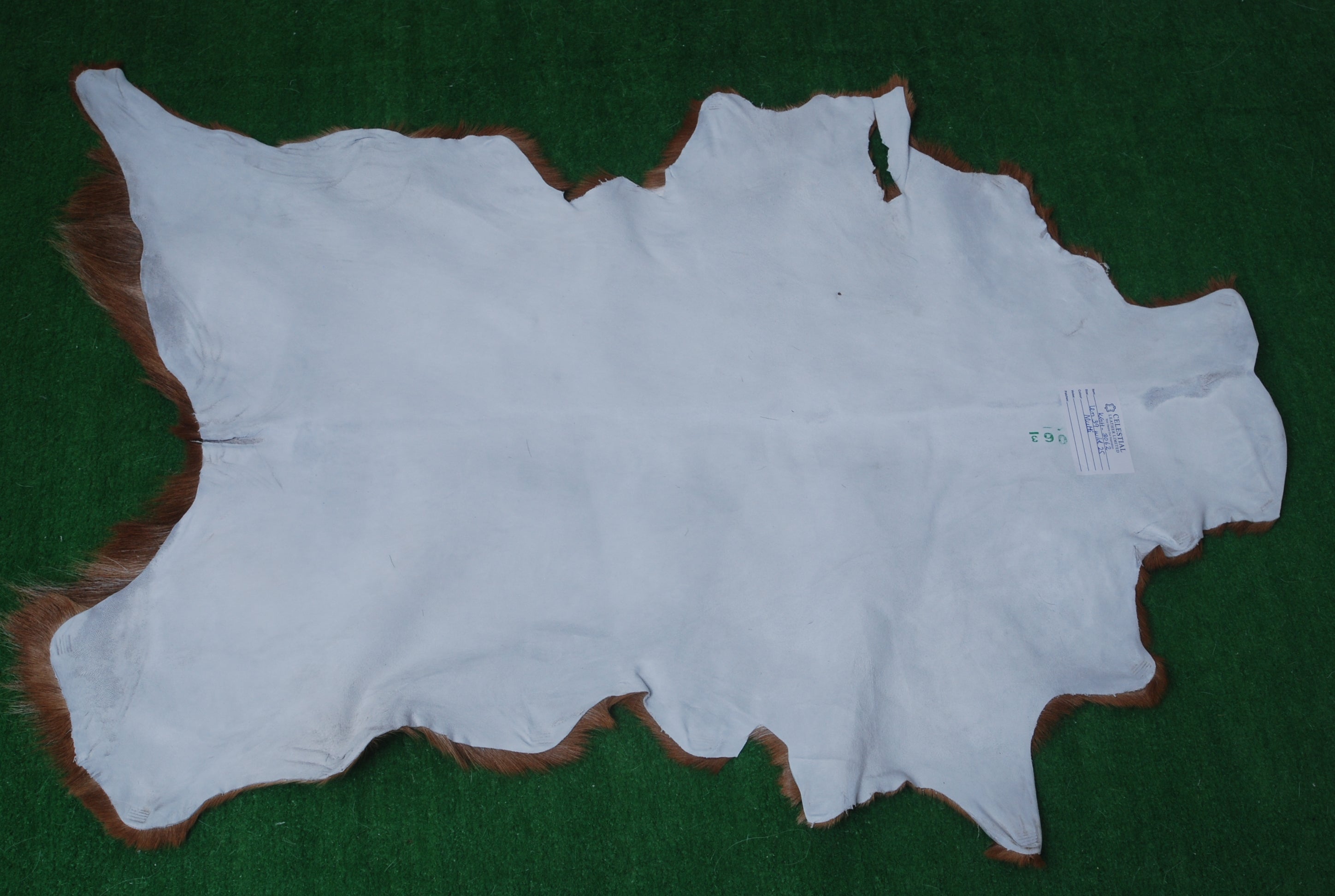 Authentic Hair-On Goat Skin Rug - Rich Dark Brown for Sophisticated Interiors