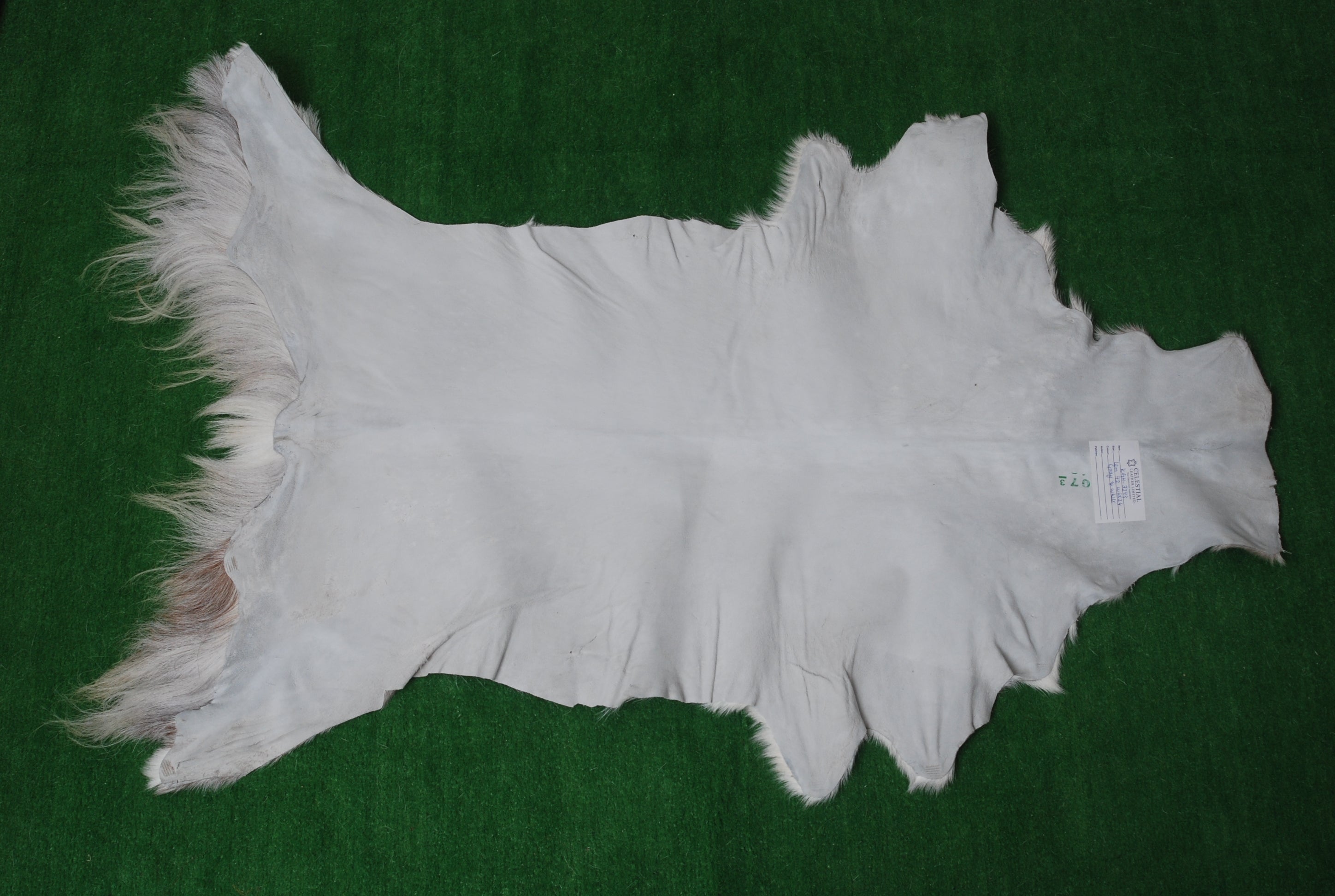 Luxurious Grey and White Goat Skin Rug - Eco-Friendly and Hypoallergenic Natural Leather Wall Decor - Soft, Kid & Pet-Friendly, Non-Slip