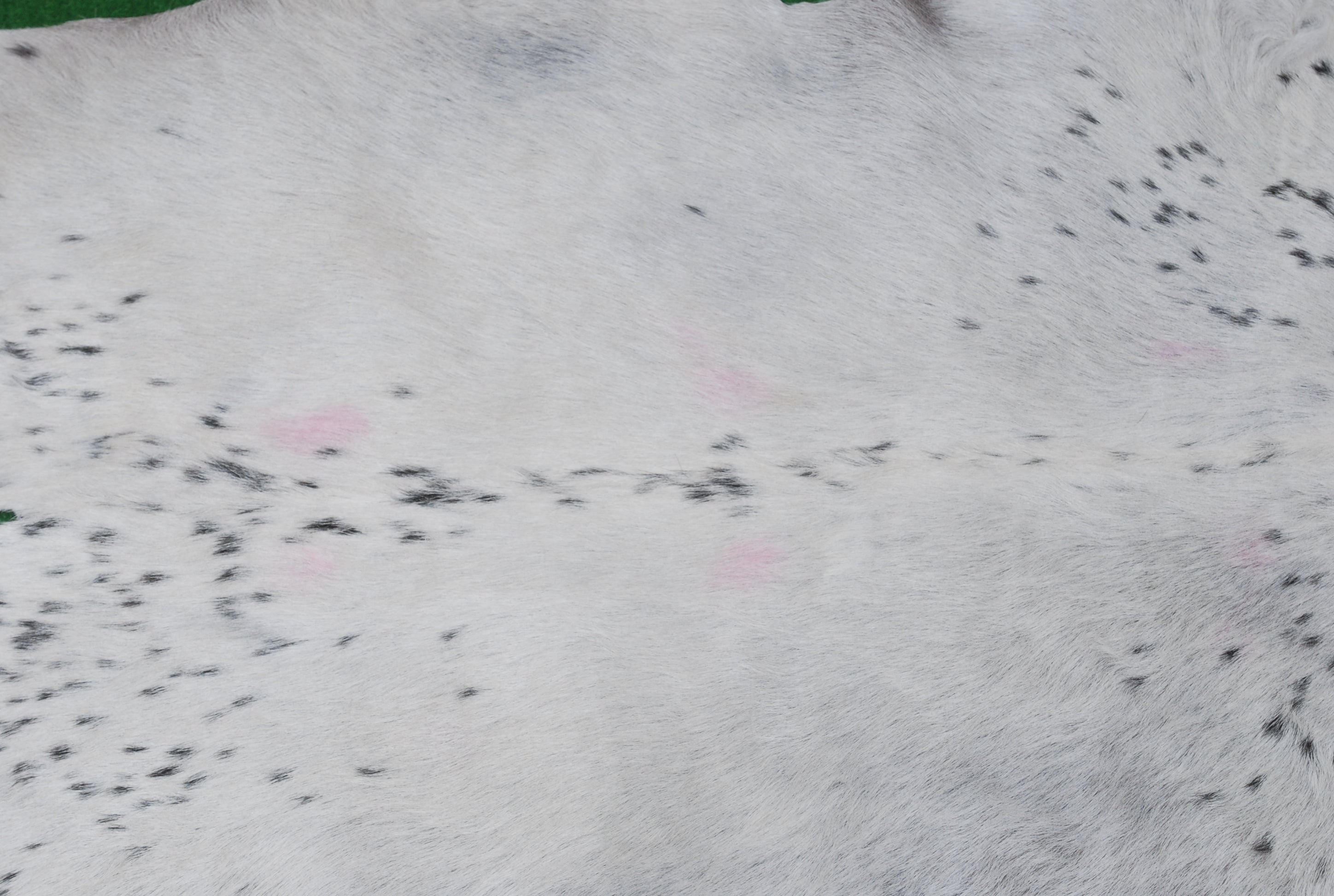 Brown and White Handmade Goat Skin Rug – Classic Elegance for Your Home