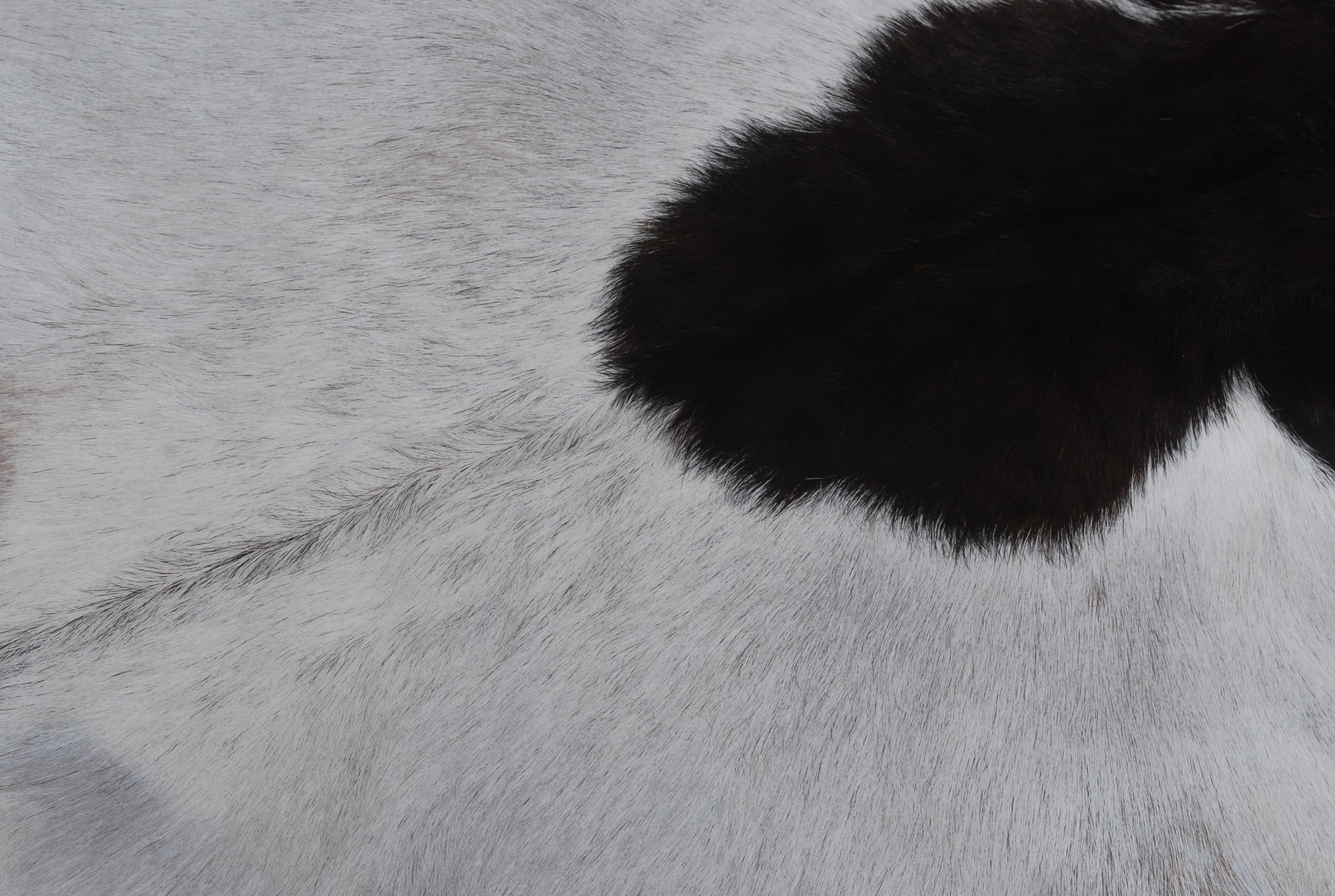 Premium Dark Brown Goat Skin Rug - Durable and Stylish Accent for Any Room