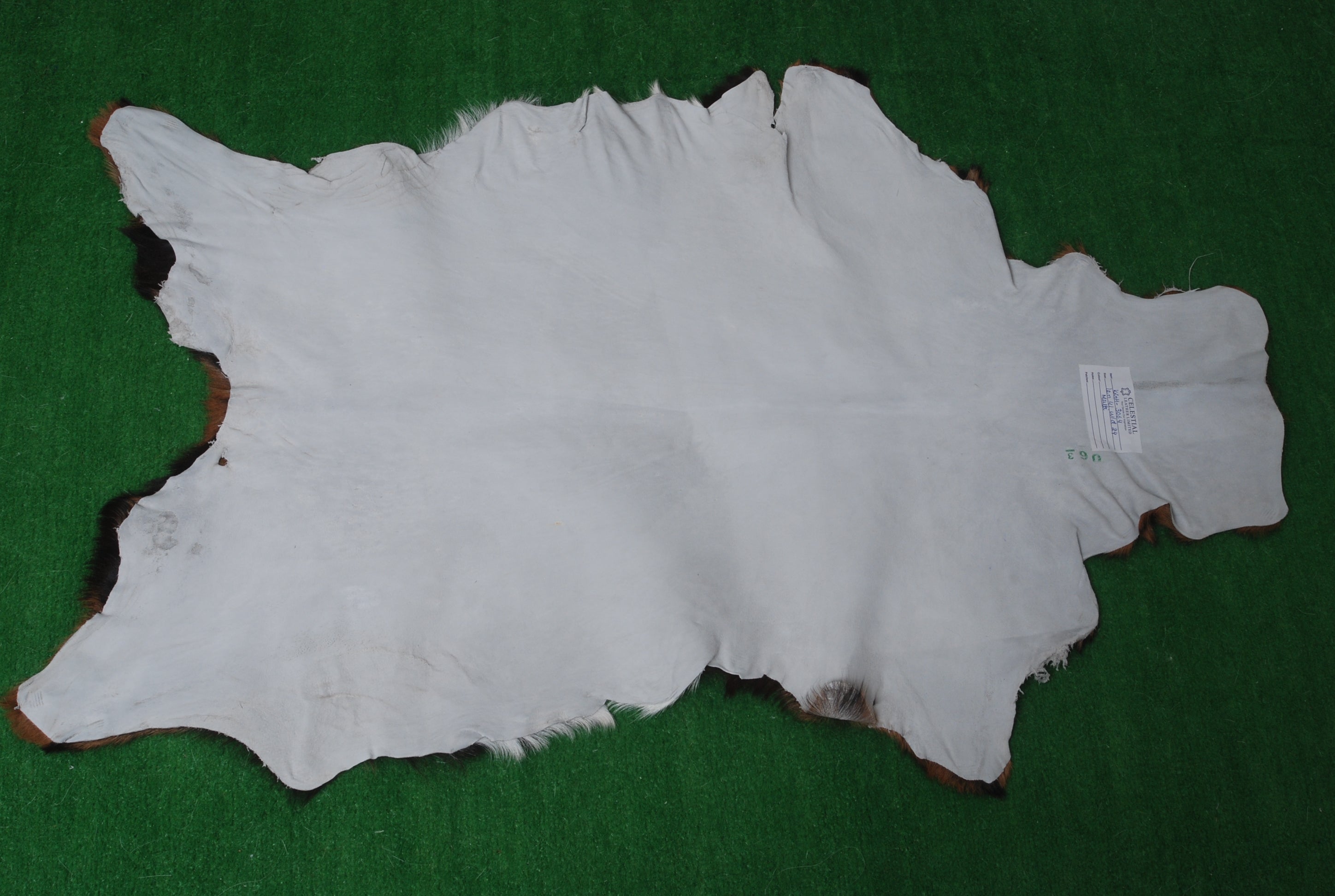 Premium Dark Brown Goat Skin Rug - Durable and Stylish Accent for Any Room