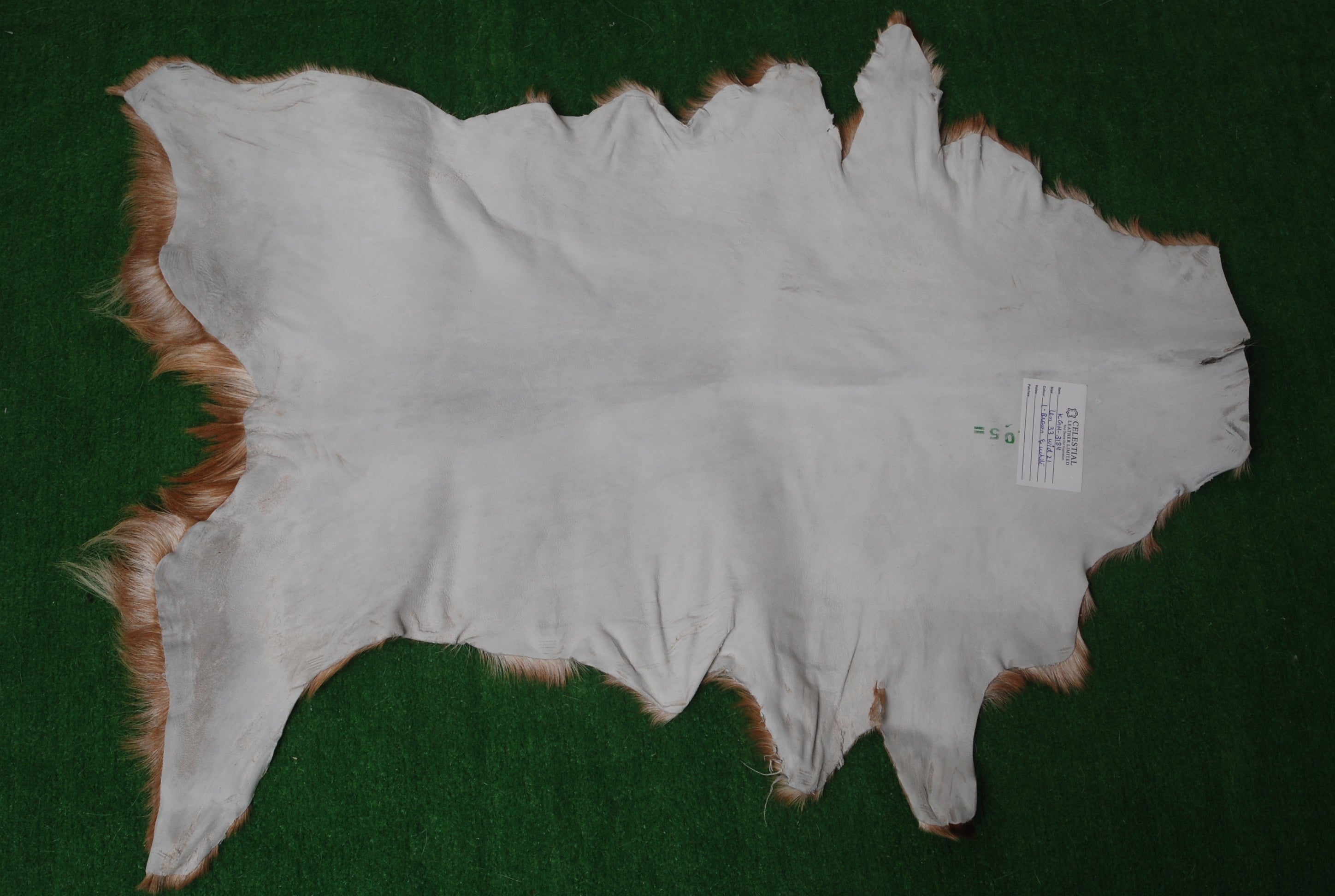 Elegant Brown and White Goat Hide Rug - Perfect Accent for Living Room or Bedroom