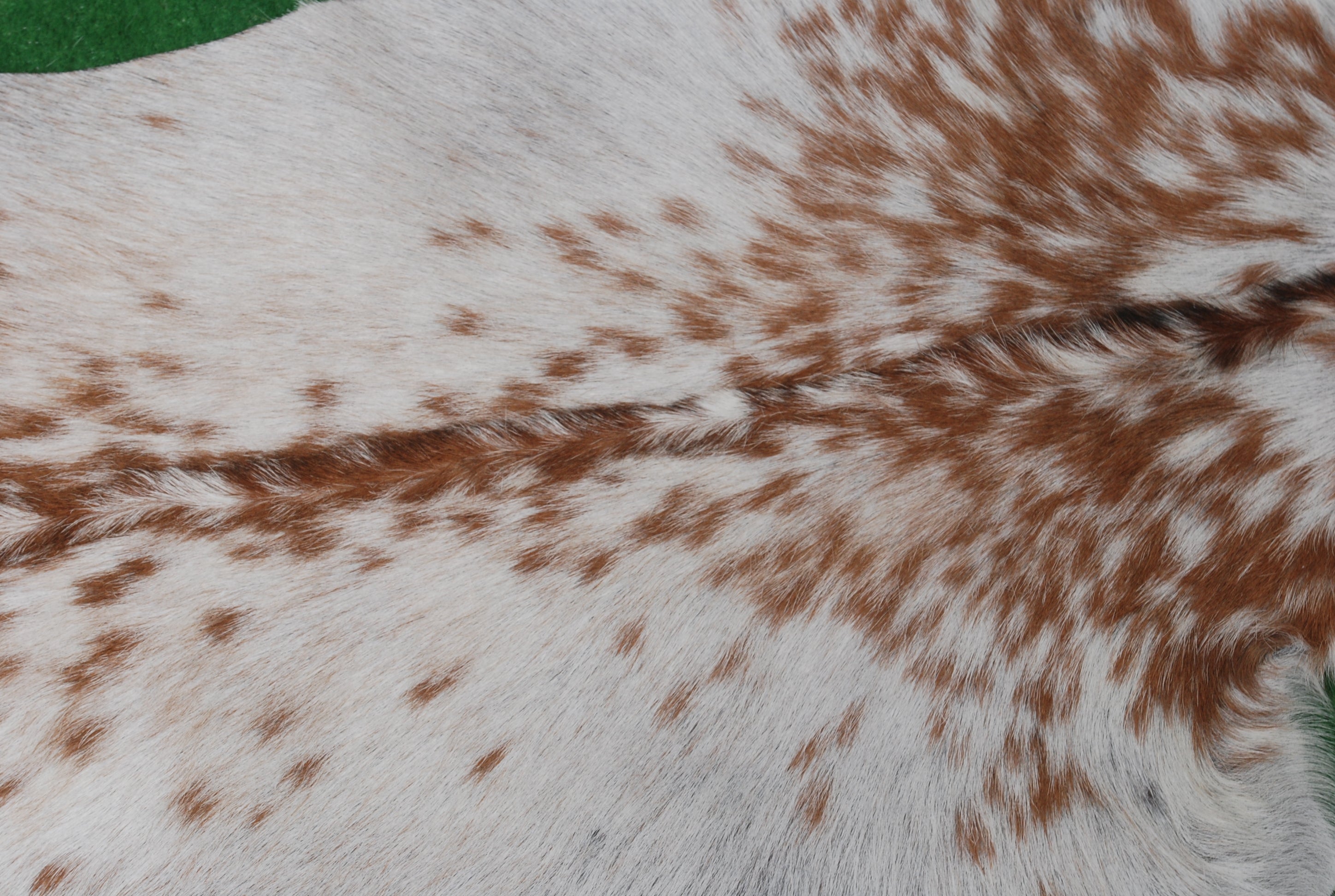 Brown and White Handmade Goat Skin Rug – Classic Elegance for Your Home