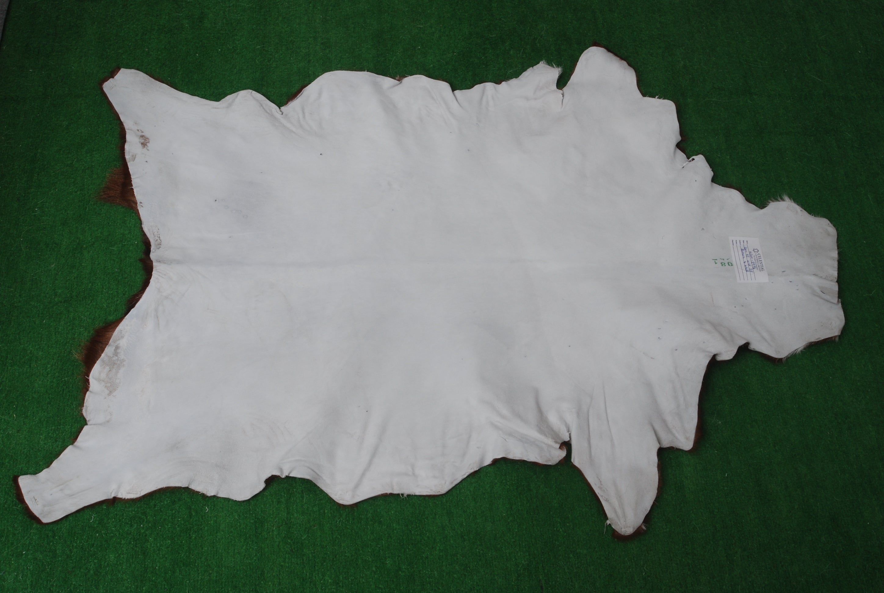 Premium Dark Brown Goat Skin Rug - Durable and Stylish Accent for Any Room