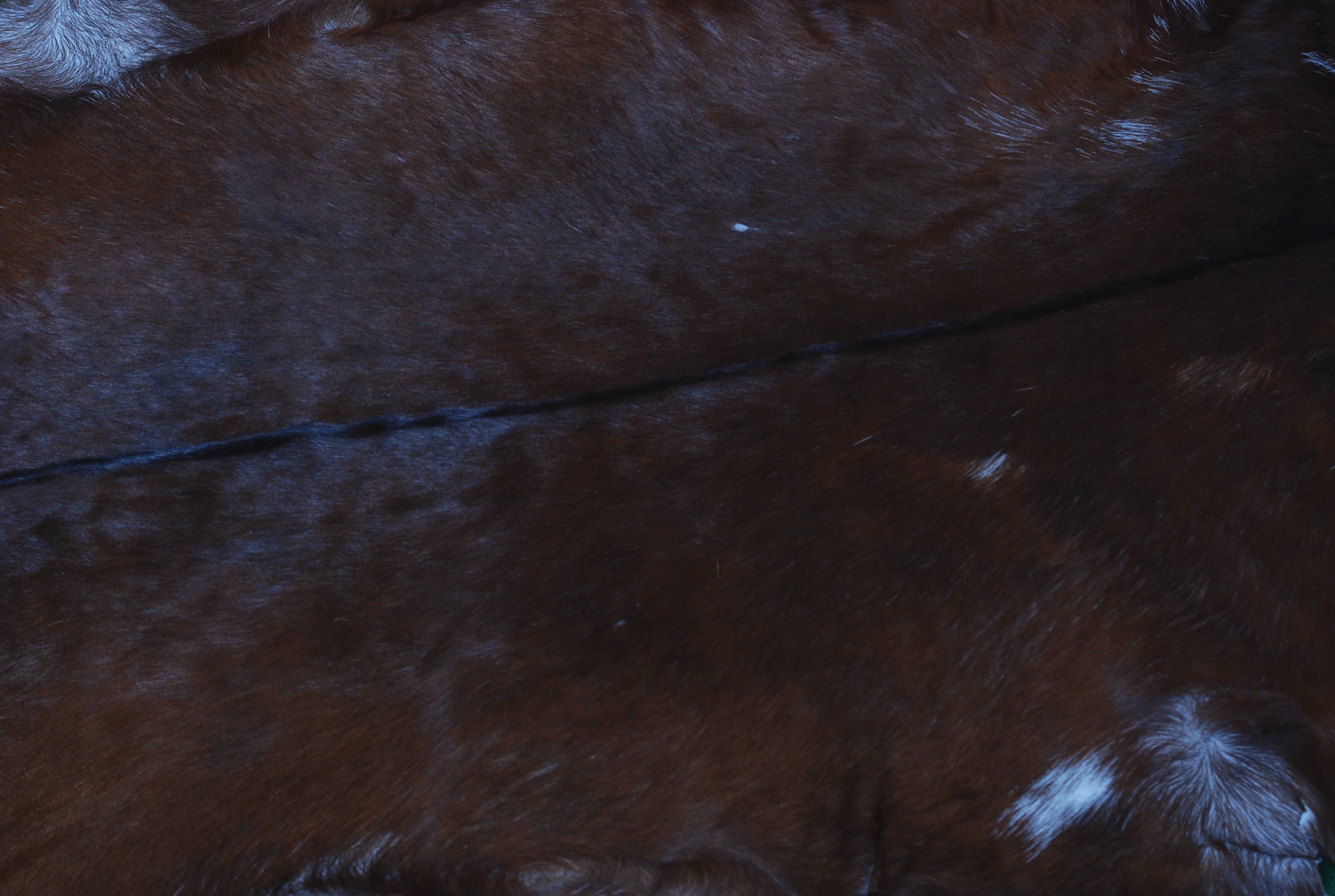 Premium Dark Brown Goat Skin Rug - Durable and Stylish Accent for Any Room