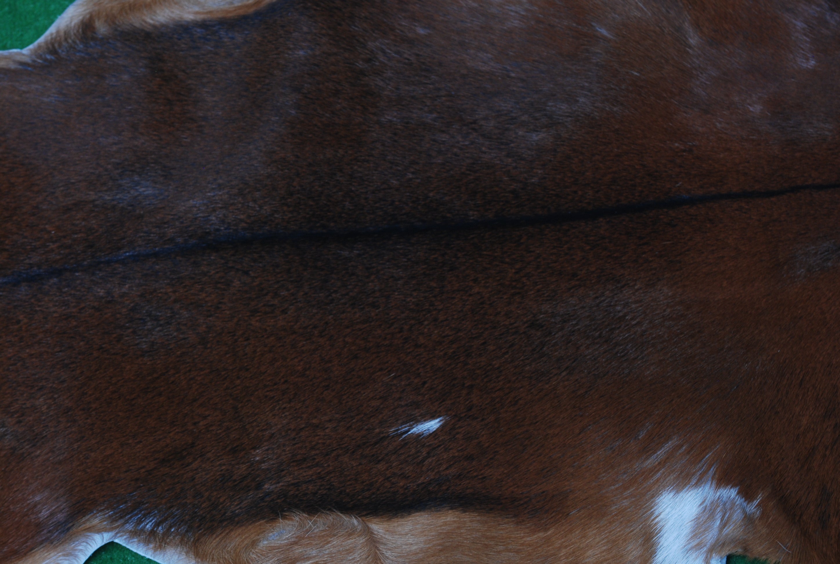 Dark Brown Rug - Soft, Durable, and Eco-Friendly - Handmade Pure Goat Skin Floor Rug - Non-Slip Suede Back