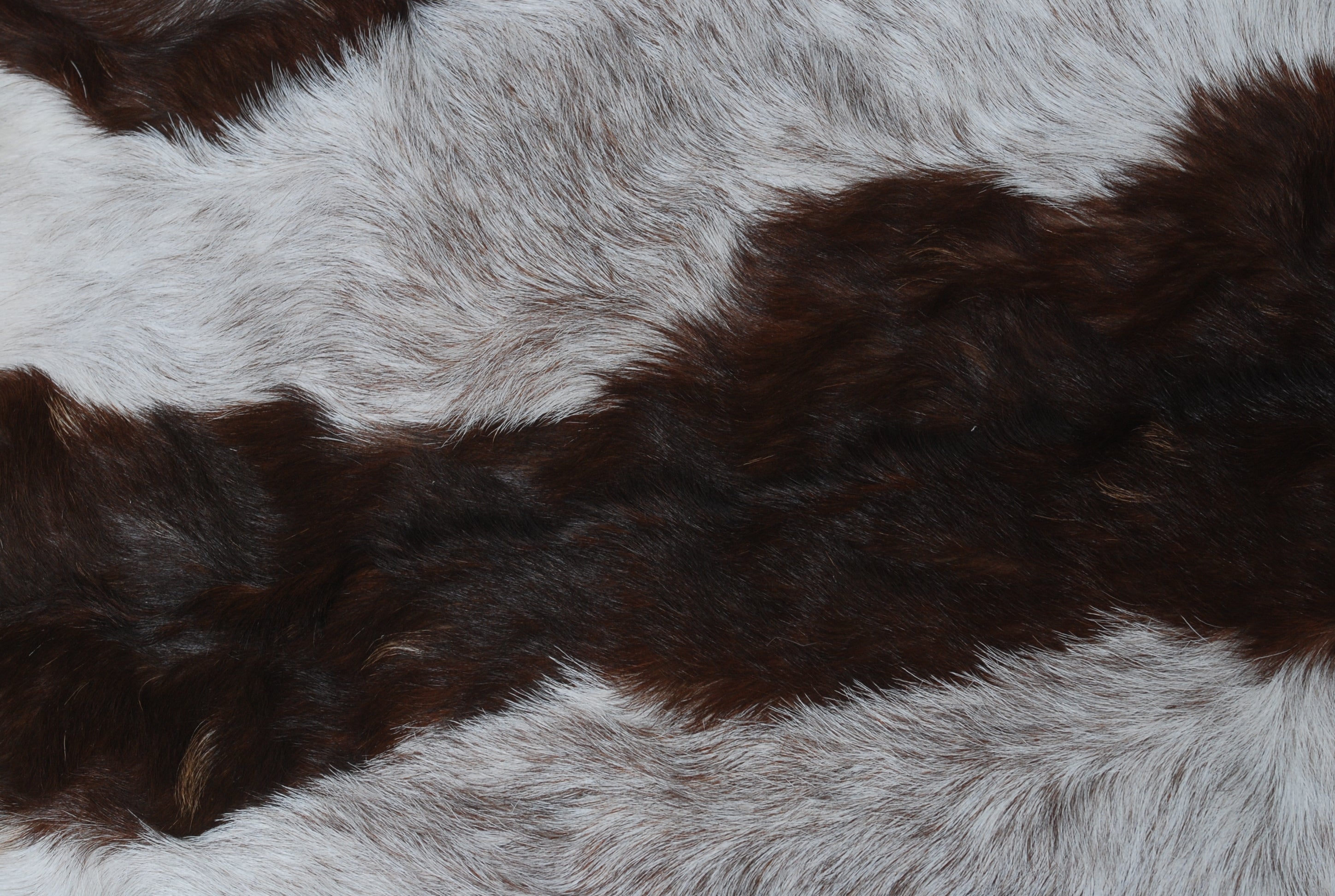 Stylish Dark Brown Goat Hide Rug - Perfect Accent for Contemporary Homes