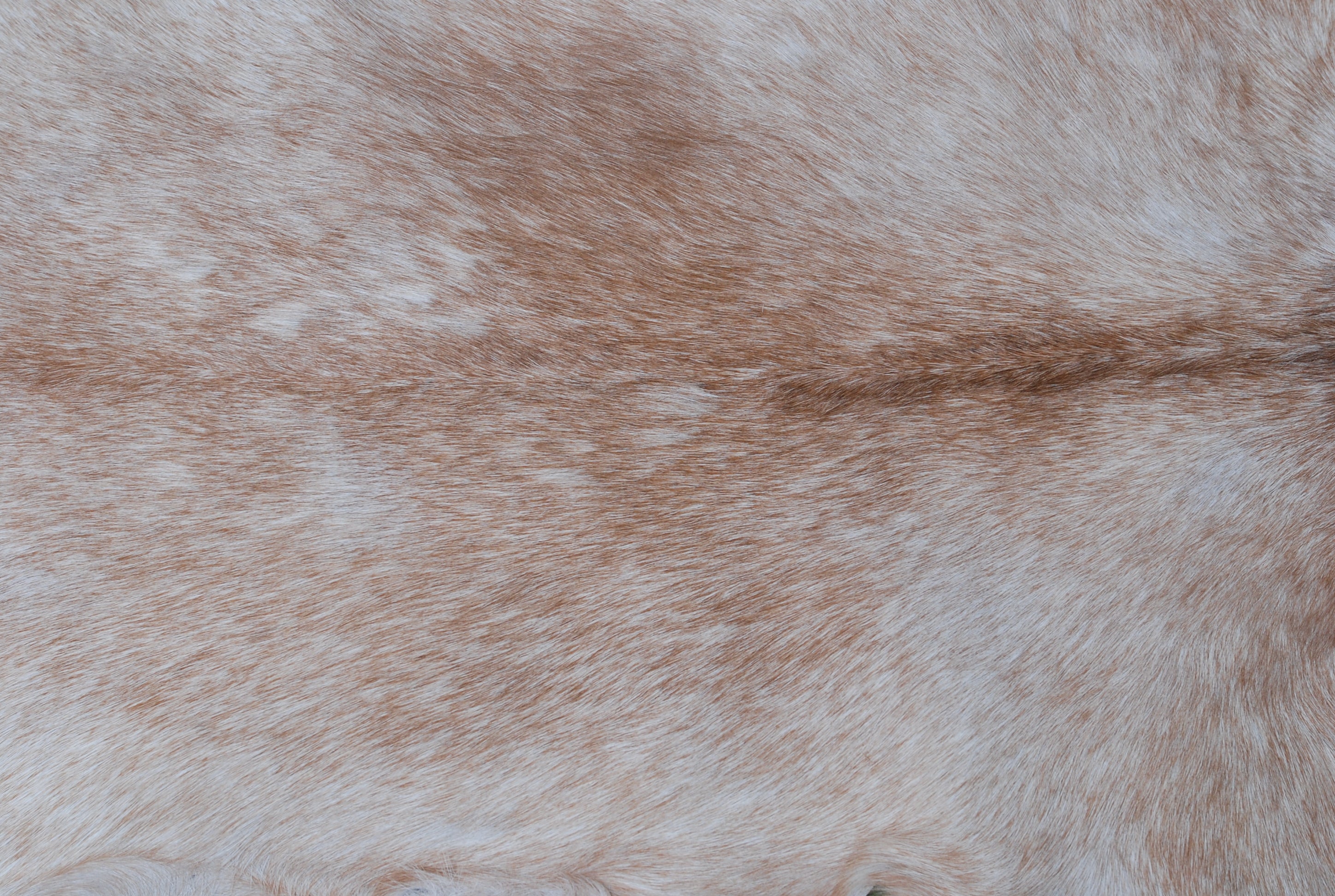 Premium Brown and White Goat Hide Rug - Natural, Handcrafted, Non-Slip Suede Back, Eco-Friendly & Sustainable - Hypoallergenic - Celestial Leather Limited