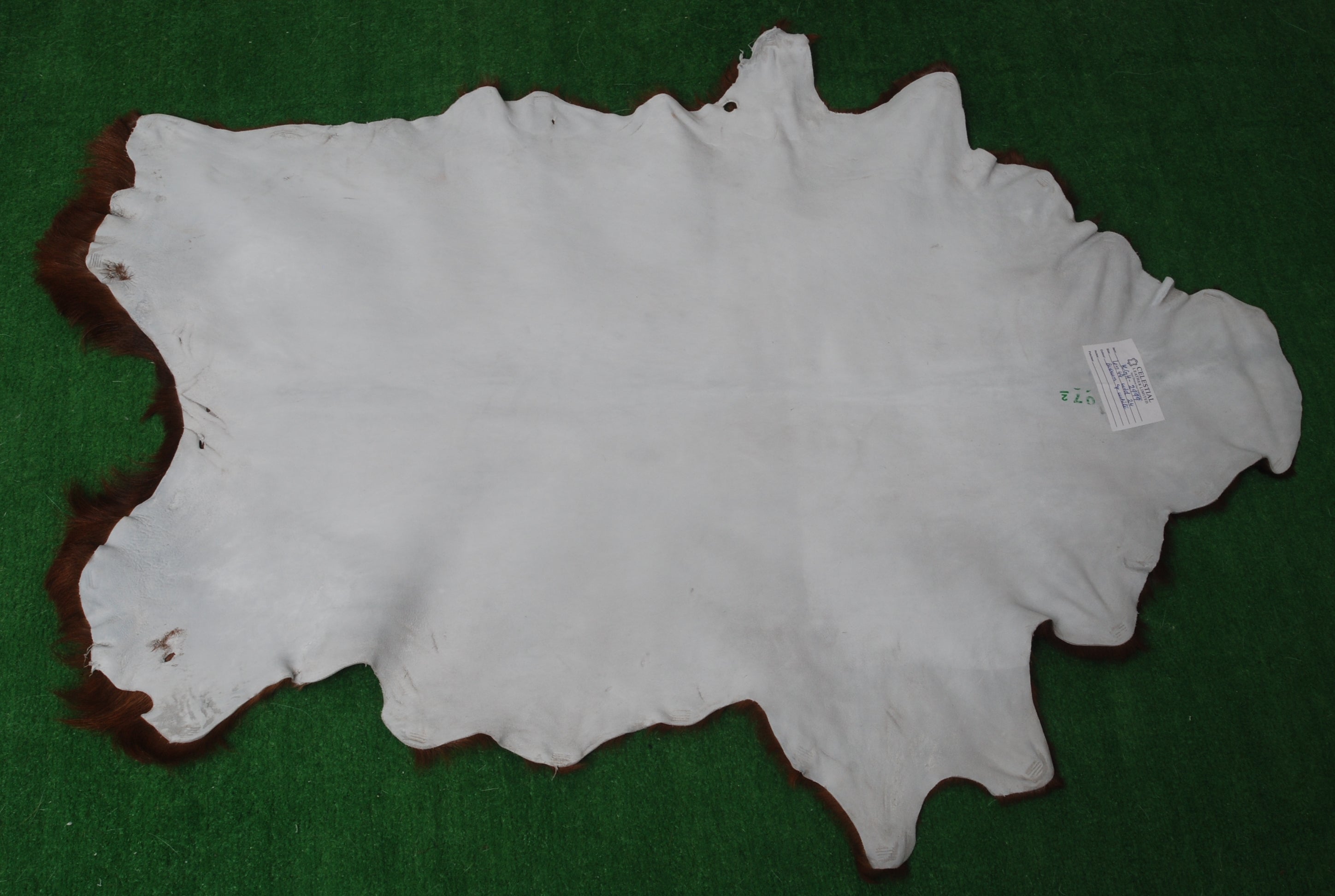 Luxury Brown & White Goat Hide Rug - Premium Hair-On Goat Skin Rug for Warmth - Elegance - Handcrafted - Sustainable Decor Piece