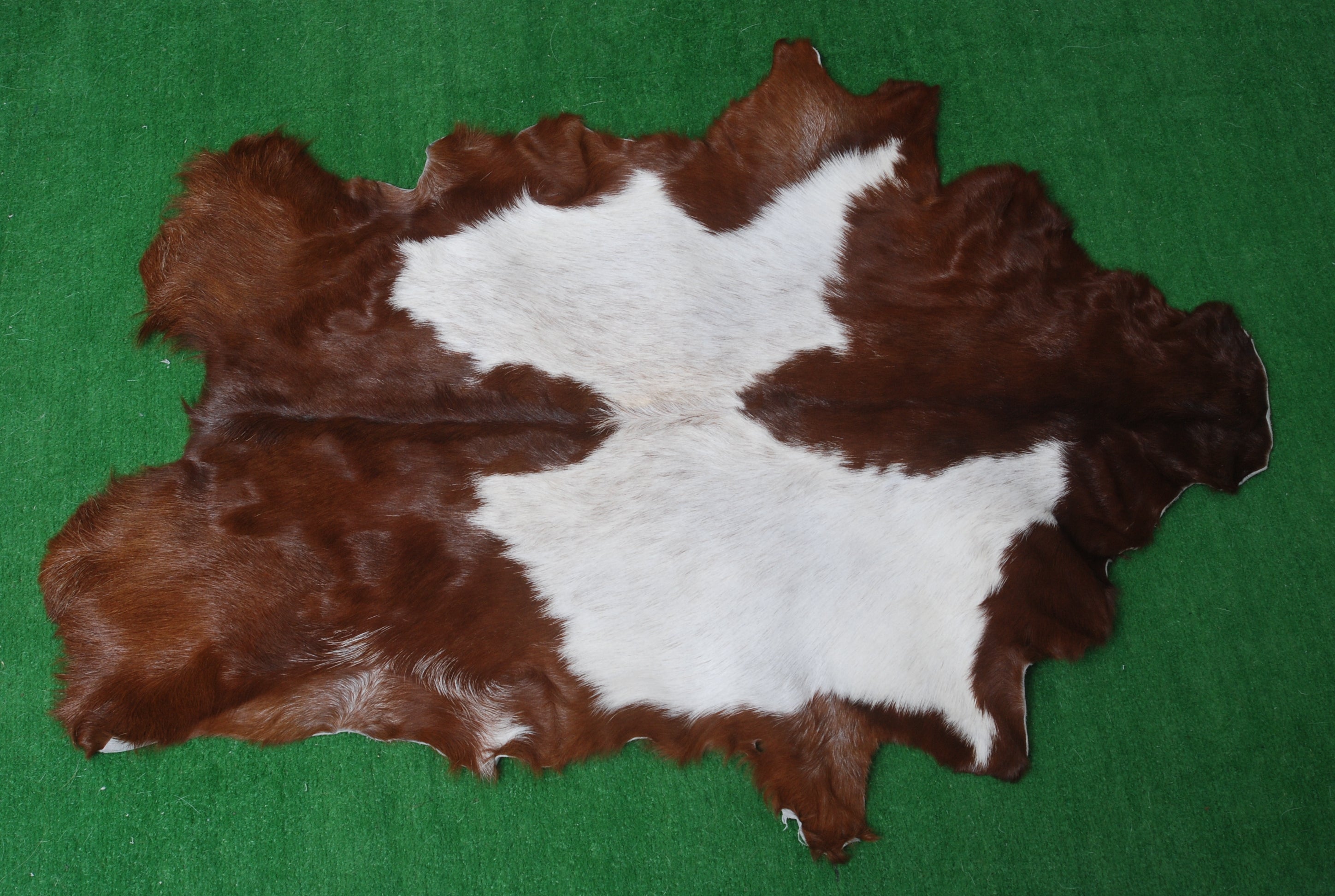 Luxury Brown & White Goat Hide Rug - Premium Hair-On Goat Skin Rug for Warmth - Elegance - Handcrafted - Sustainable Decor Piece