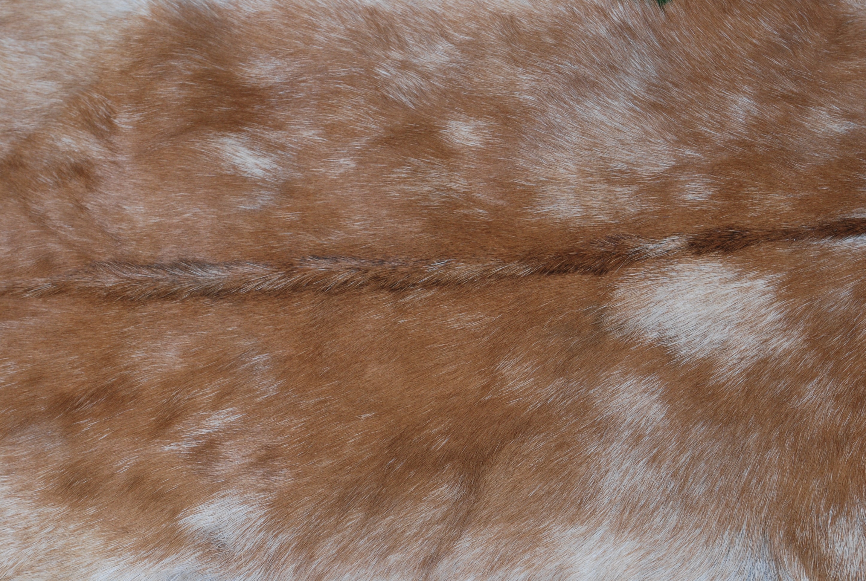 Brown and White Handmade Goat Skin Rug – Classic Elegance for Your Home