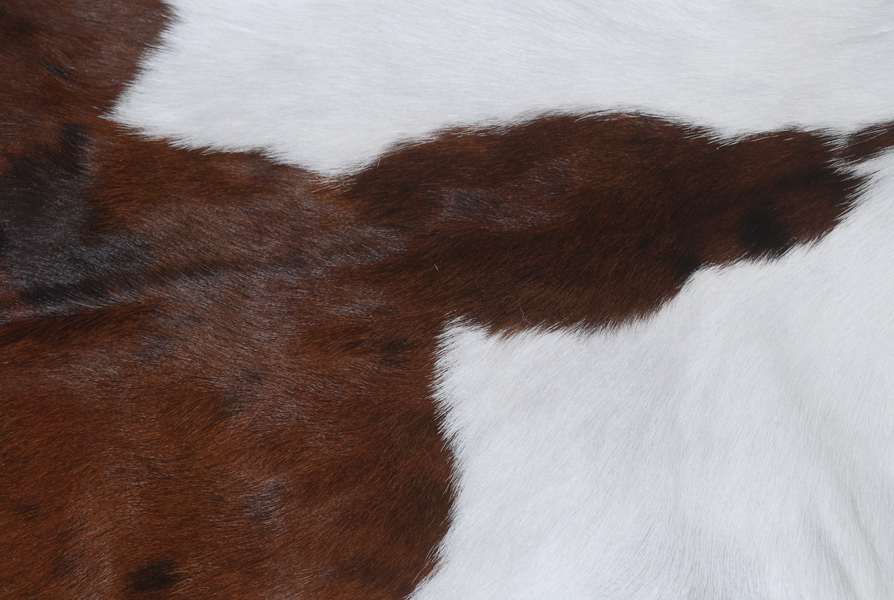 Natural Hair-On Dark Brown Goat Skin Rug - Elegant and Durable for Any Room