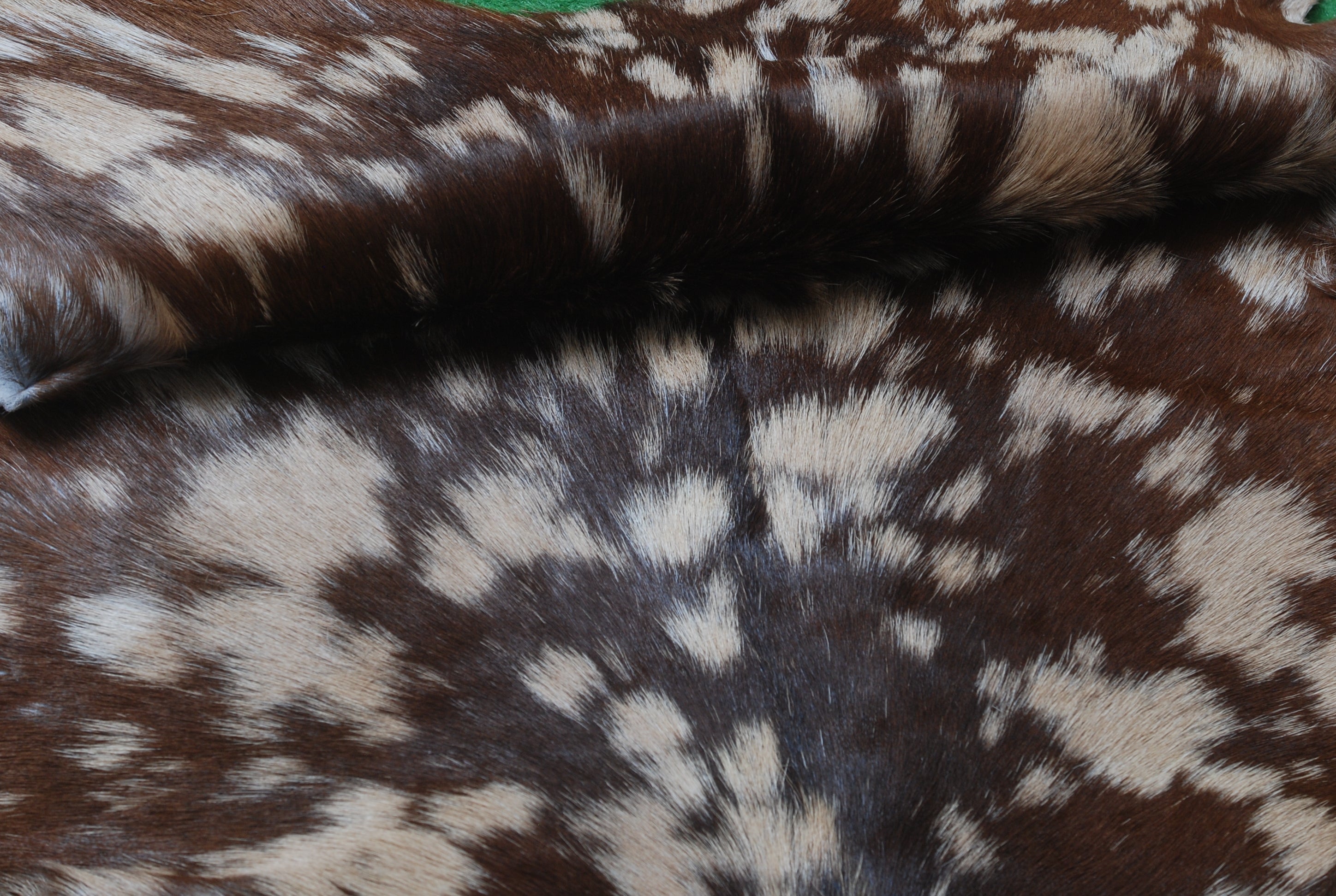 Handcrafted Tri-Color Goat Skin Rug - Soft and Durable for Elegant Interiors