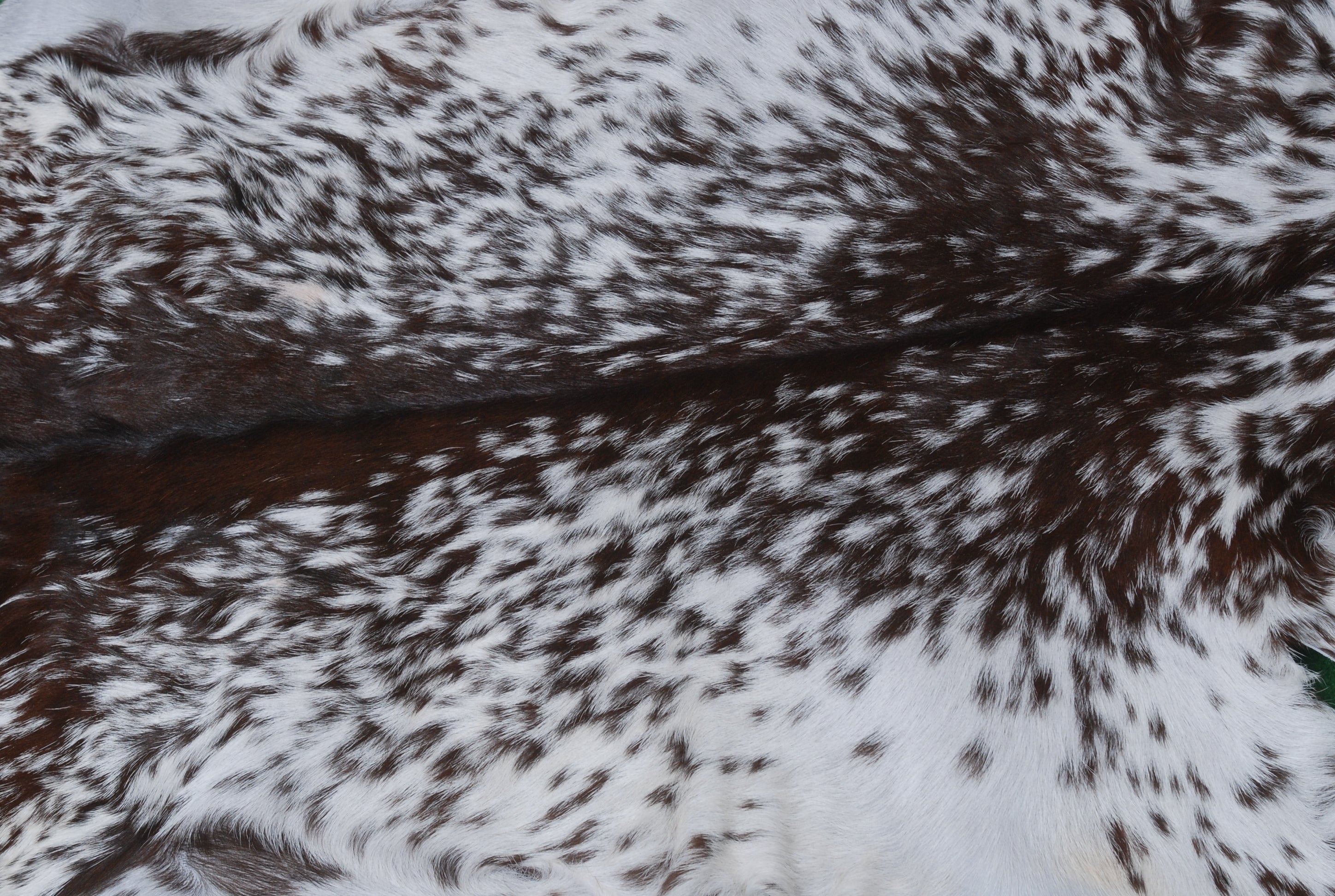 Luxury Handmade Black White Goat Skin Rug - Soft, Pet-Friendly, Non-Shedding, Eco-Friendly, Unique Colour Variations, Hypoallergenic - Celestial Leather Limited