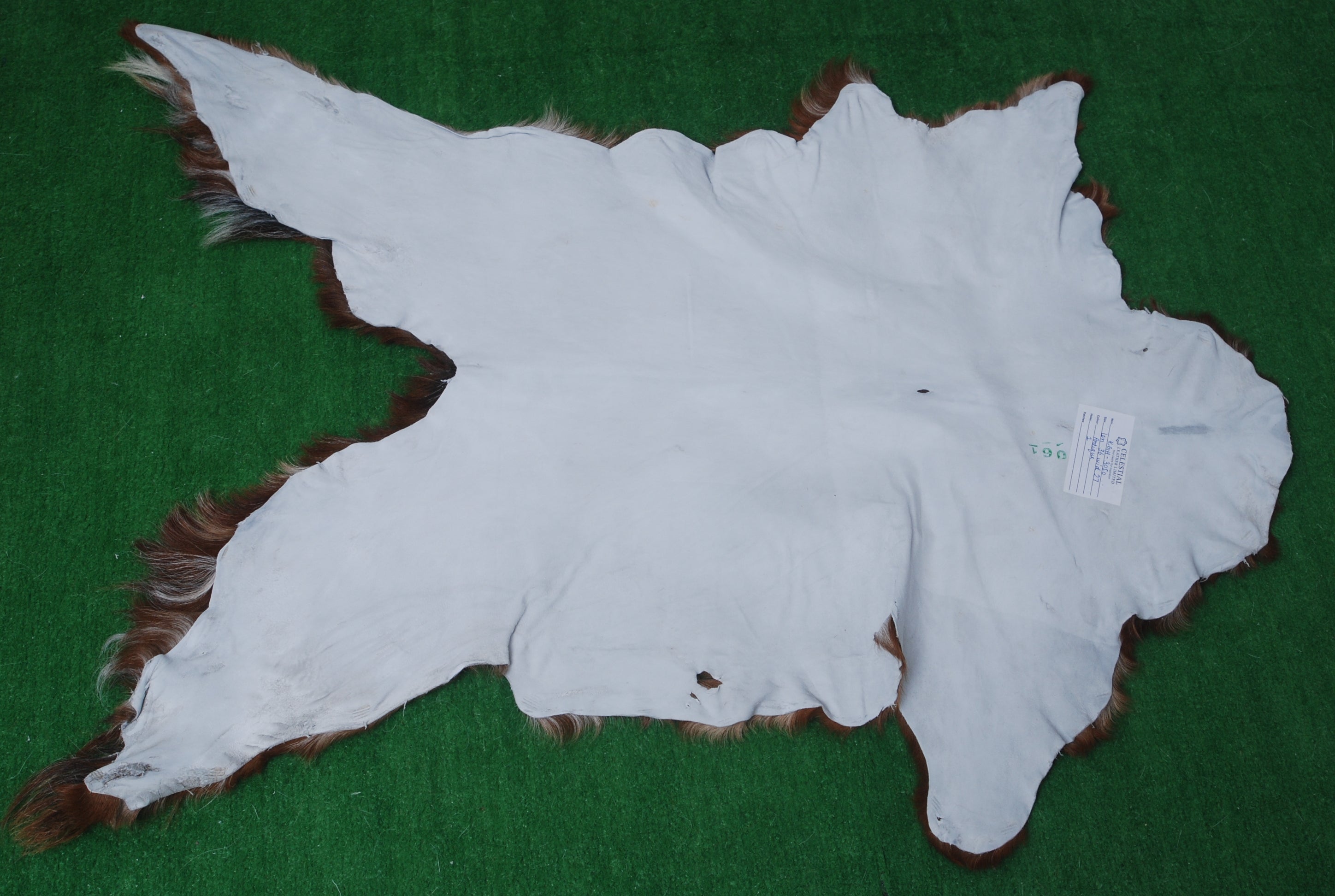 Premium Dark Brown Goat Skin Rug - Durable and Stylish Accent for Any Room