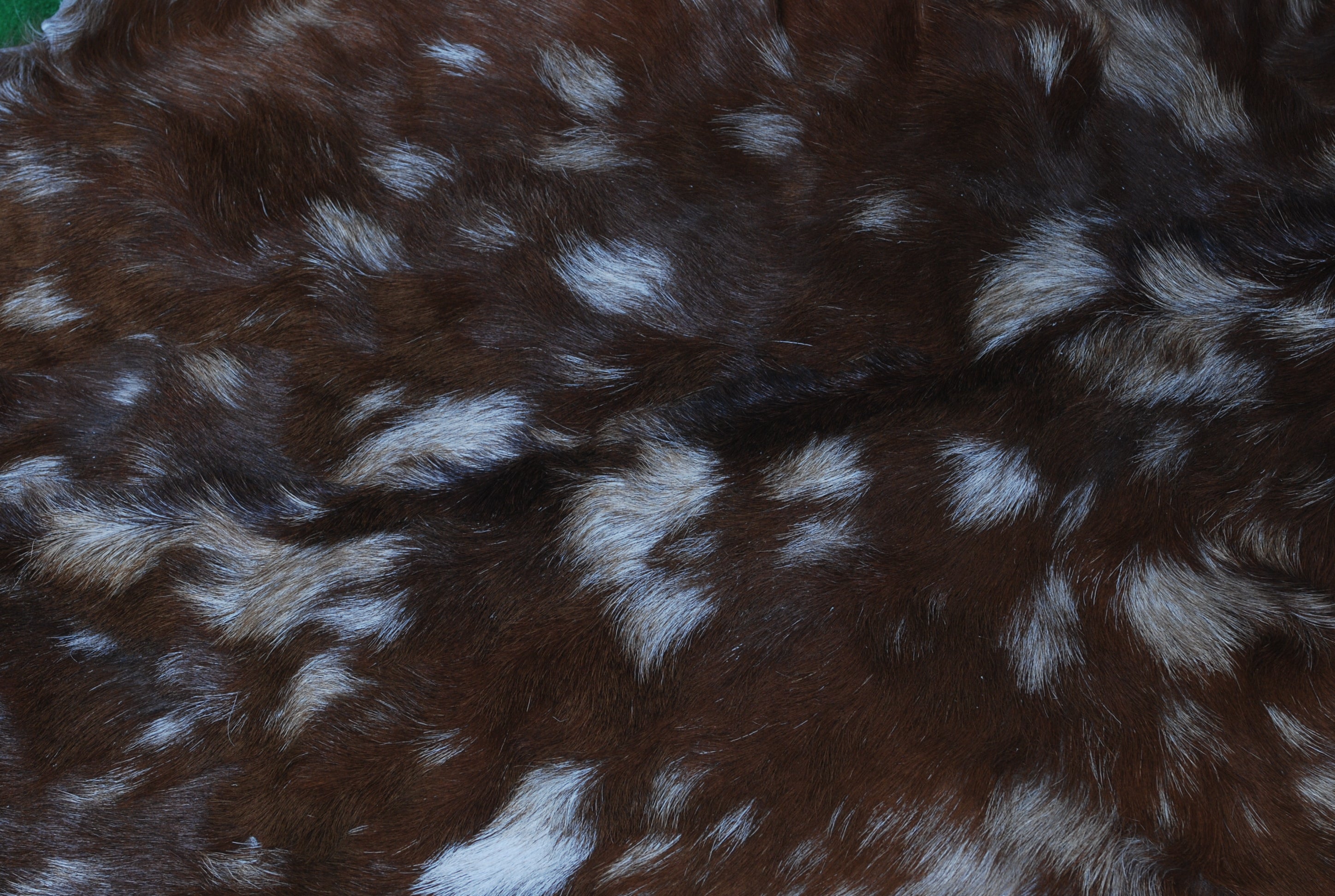 Premium Dark Brown Goat Skin Rug - Durable and Stylish Accent for Any Room