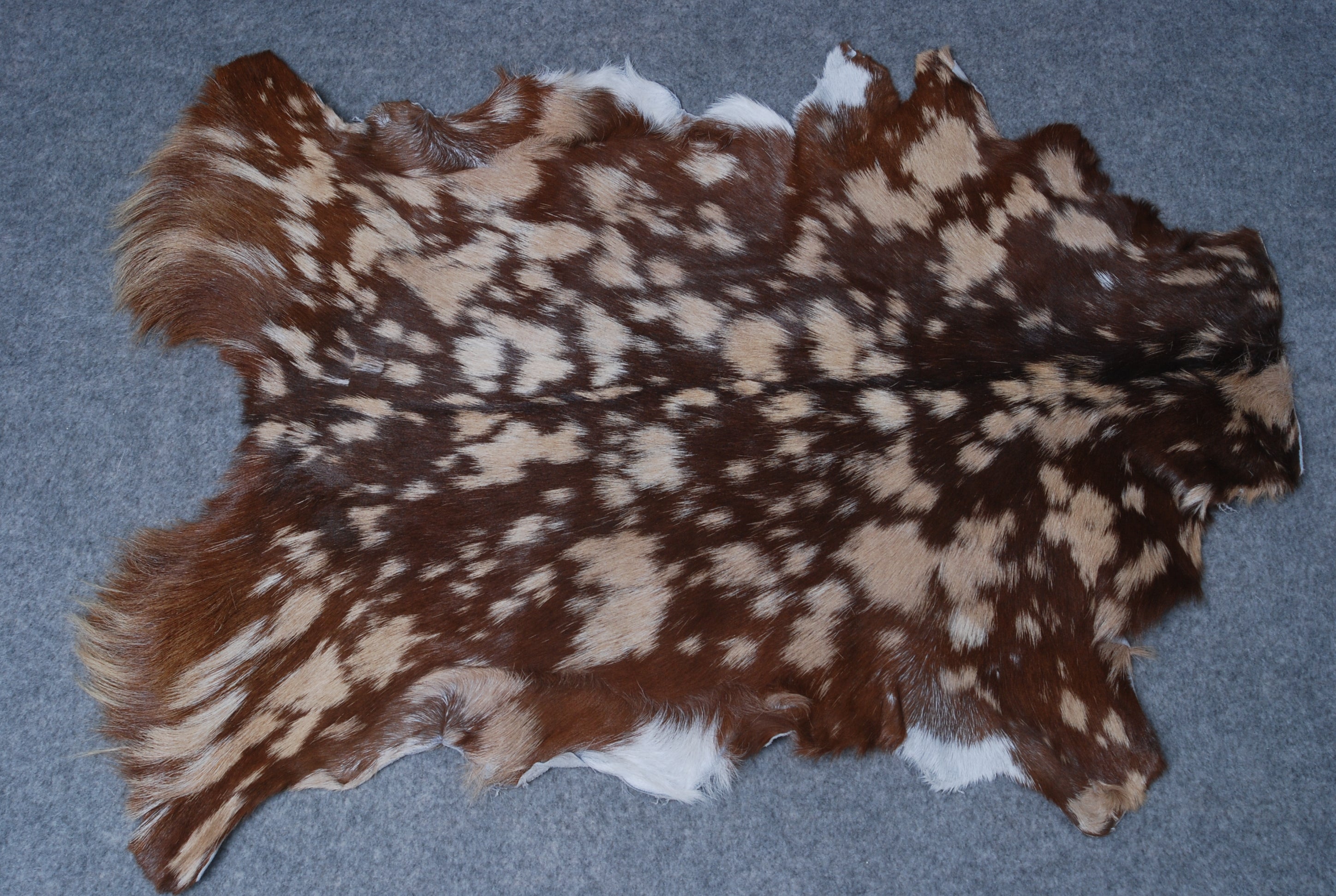 Handcrafted Tri-Color Goat Skin Rug - Soft and Durable for Elegant Interiors