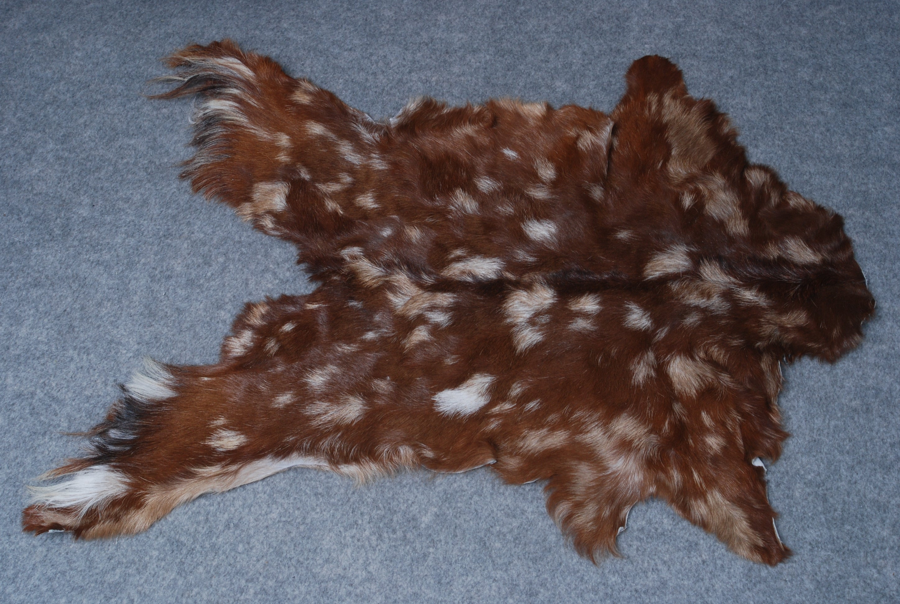 Premium Dark Brown Goat Skin Rug - Durable and Stylish Accent for Any Room