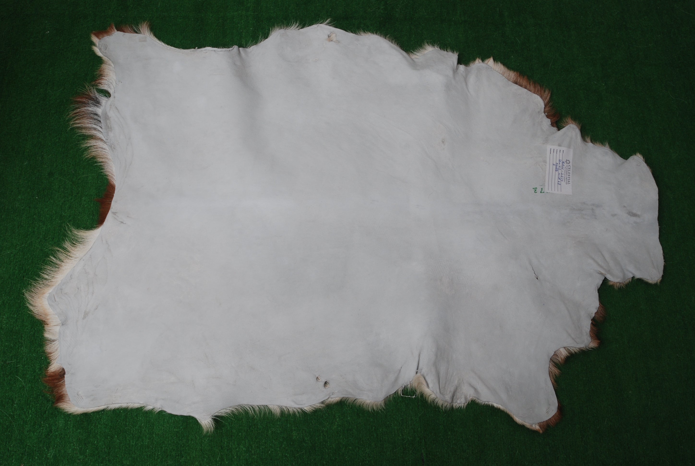 Luxury Brown and White Goat Hide Rug - Natural Premium Hair-On Goat Skin Rug - Handcrafted Eco-Friendly Home Decor - Celestial Leather Limited